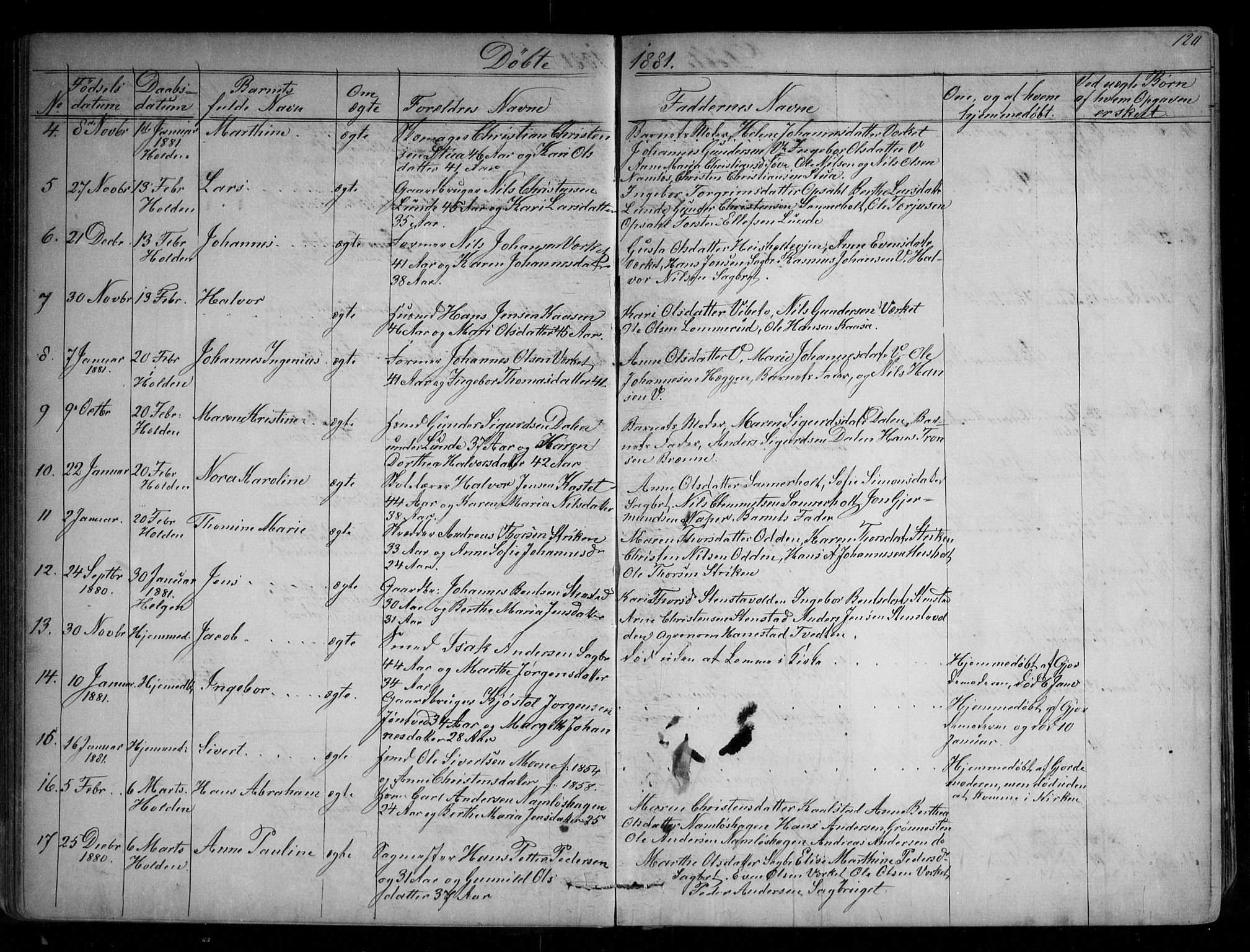 Holla kirkebøker, AV/SAKO-A-272/G/Ga/L0004: Parish register (copy) no. I 4, 1867-1890, p. 120