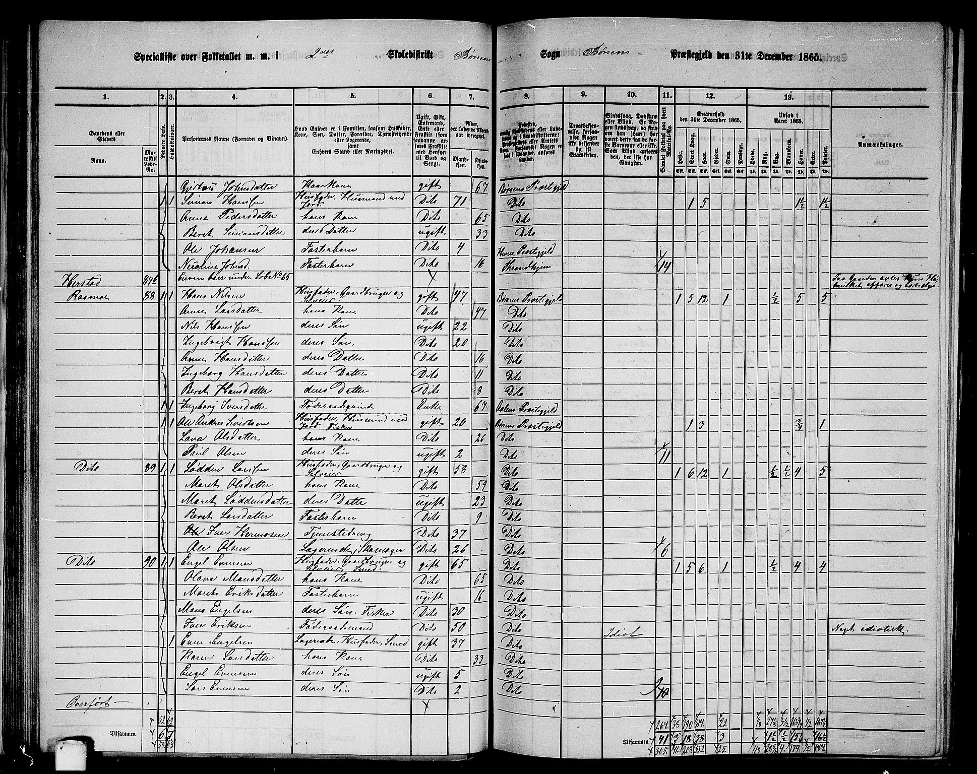 RA, 1865 census for Børsa, 1865, p. 41