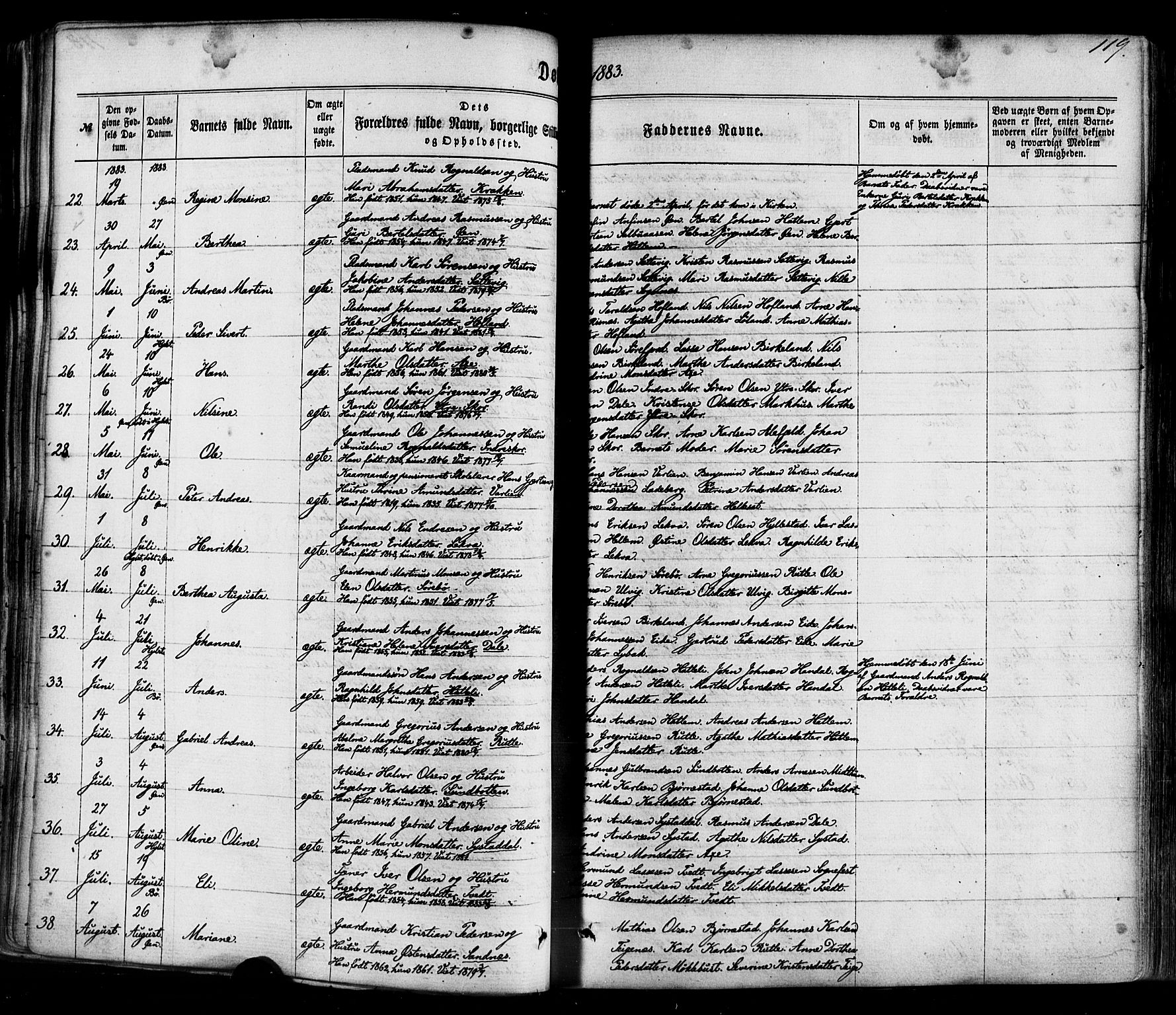 Hyllestad sokneprestembete, SAB/A-80401: Parish register (official) no. A 1, 1861-1886, p. 119