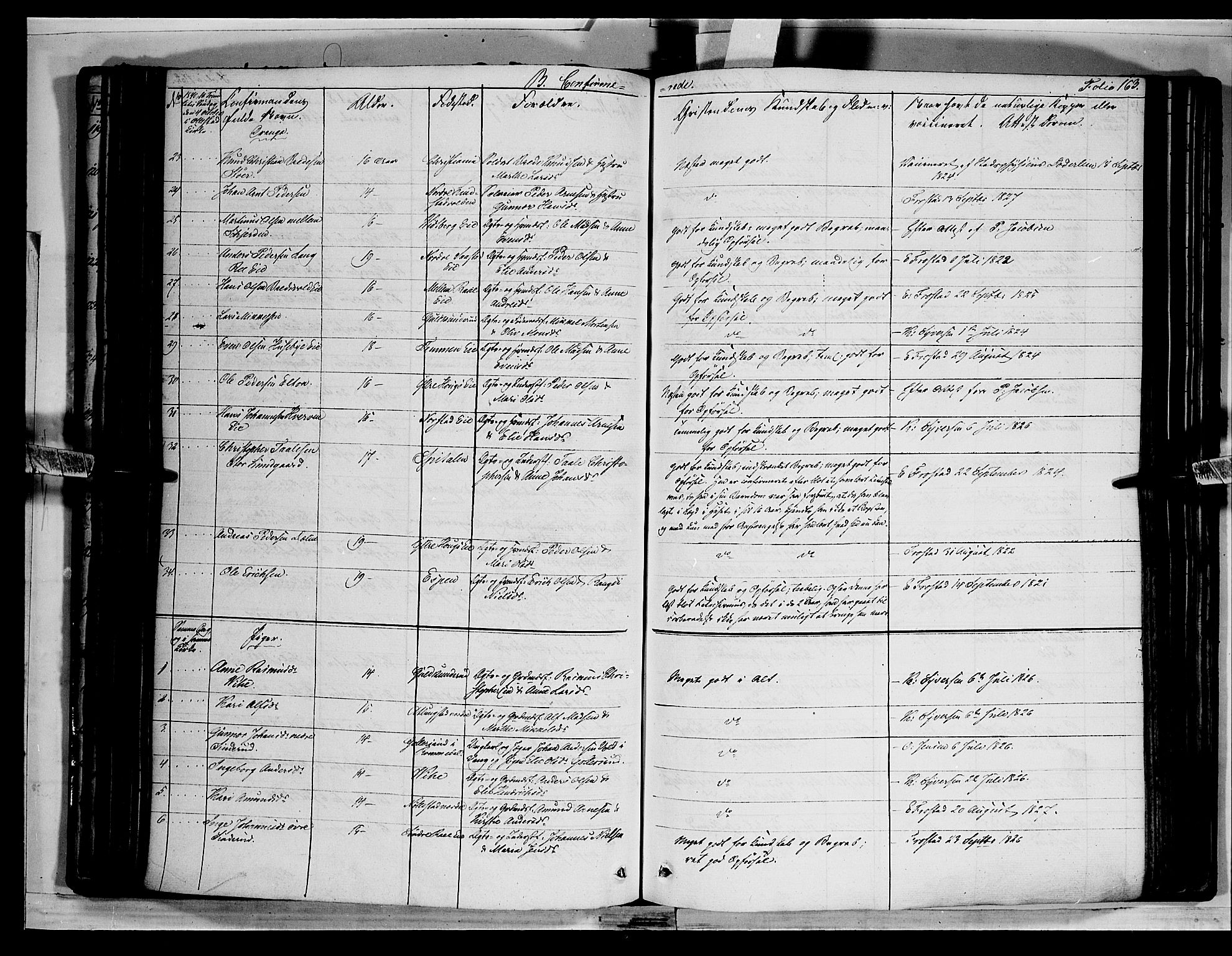 Stange prestekontor, AV/SAH-PREST-002/K/L0010: Parish register (official) no. 10, 1835-1845, p. 163