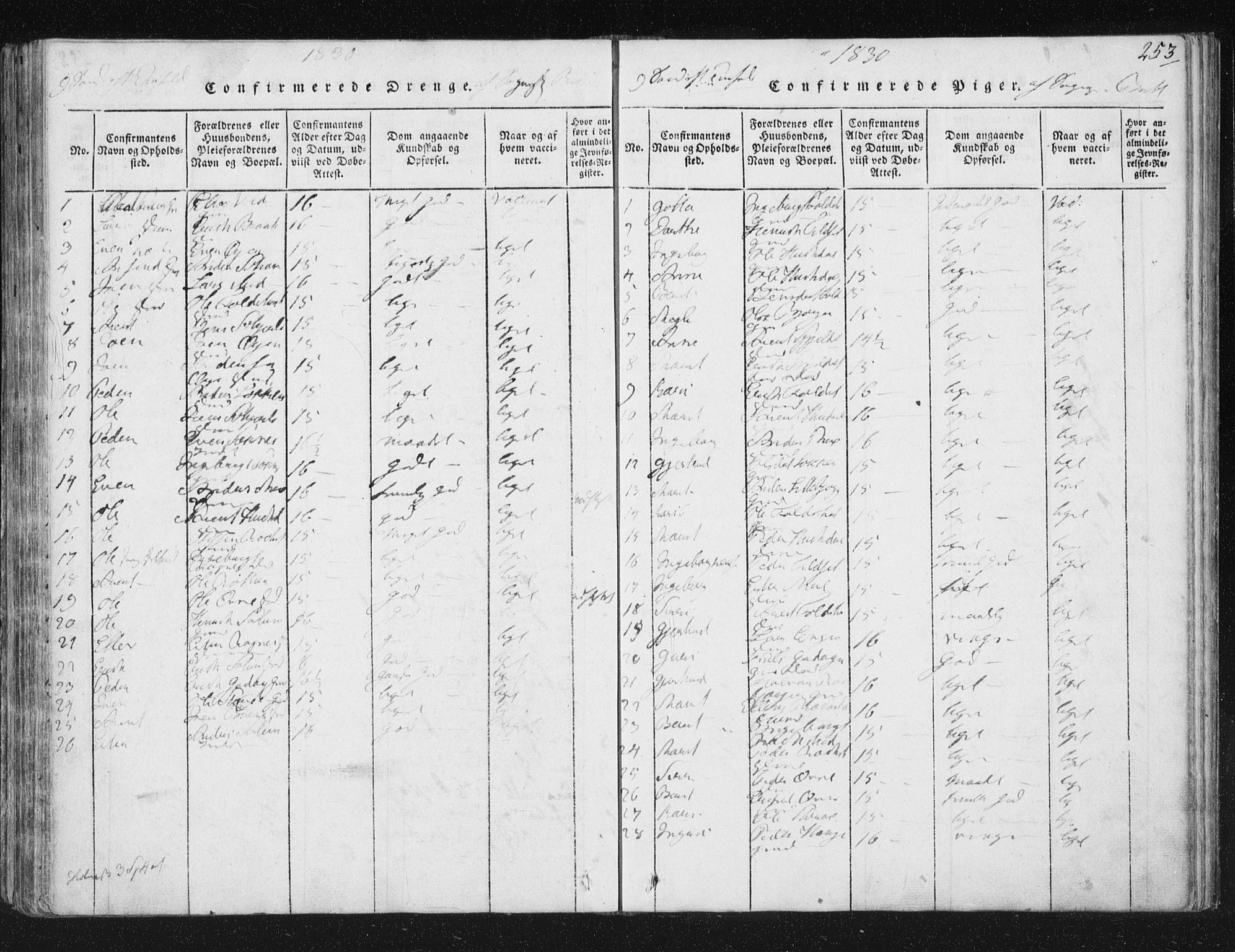 Ministerialprotokoller, klokkerbøker og fødselsregistre - Sør-Trøndelag, SAT/A-1456/687/L0996: Parish register (official) no. 687A04, 1816-1842, p. 253