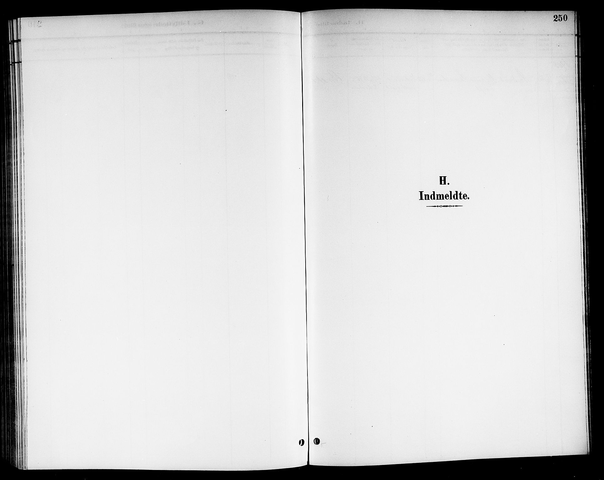 Nore kirkebøker, SAKO/A-238/G/Gb/L0003: Parish register (copy) no. II 3, 1894-1923, p. 250
