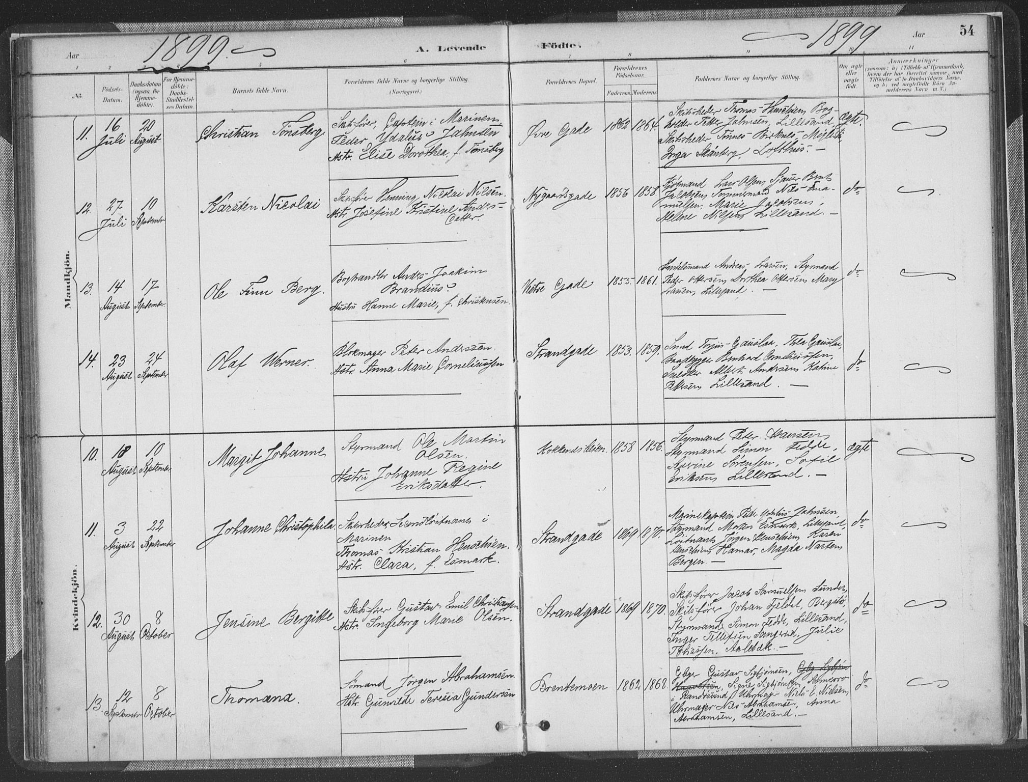 Vestre Moland sokneprestkontor, AV/SAK-1111-0046/F/Fa/Faa/L0001: Parish register (official) no. A 1, 1884-1899, p. 55