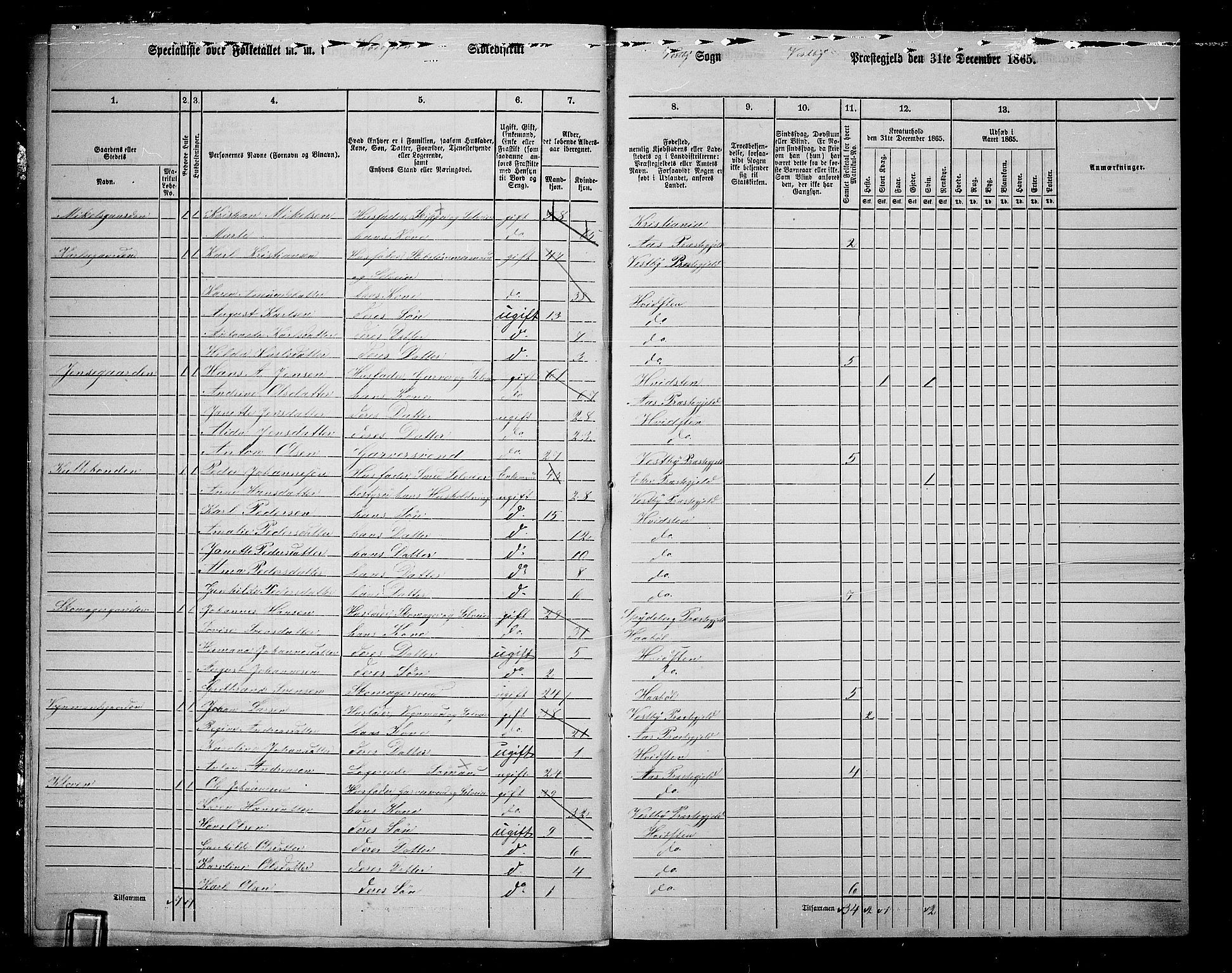 RA, 1865 census for Vestby, 1865, p. 200