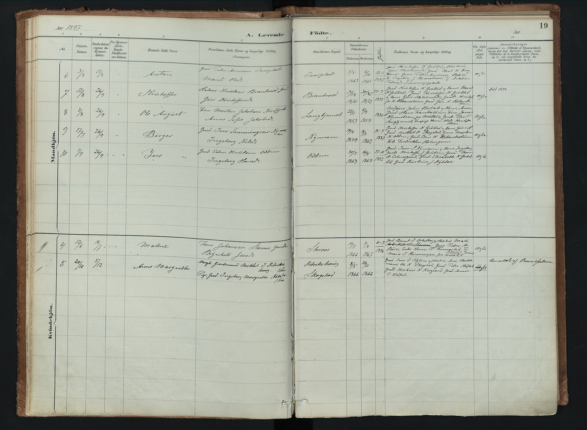 Kvikne prestekontor, AV/SAH-PREST-064/H/Ha/Haa/L0008: Parish register (official) no. 8, 1887-1911, p. 19