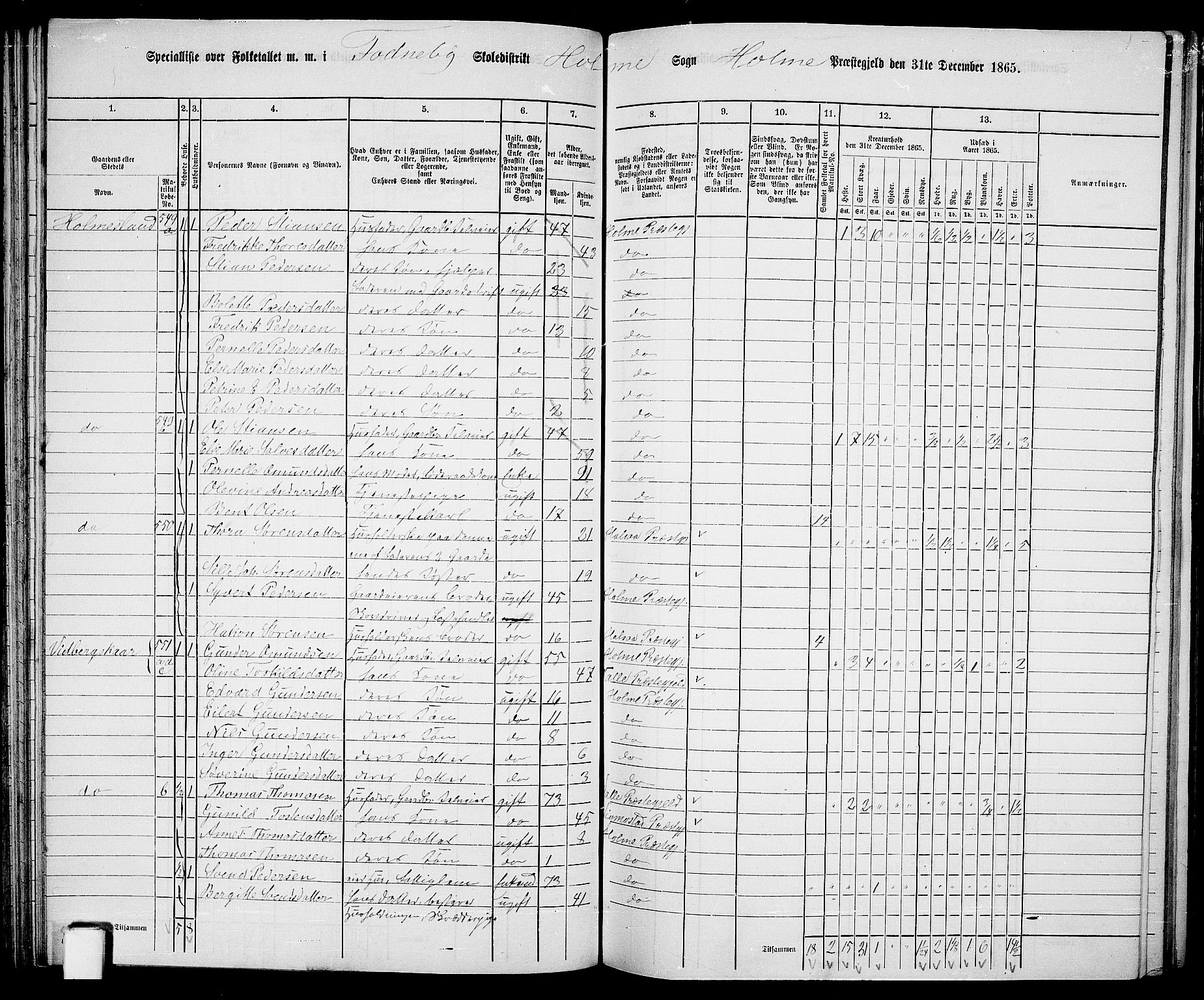 RA, 1865 census for Holum, 1865, p. 64