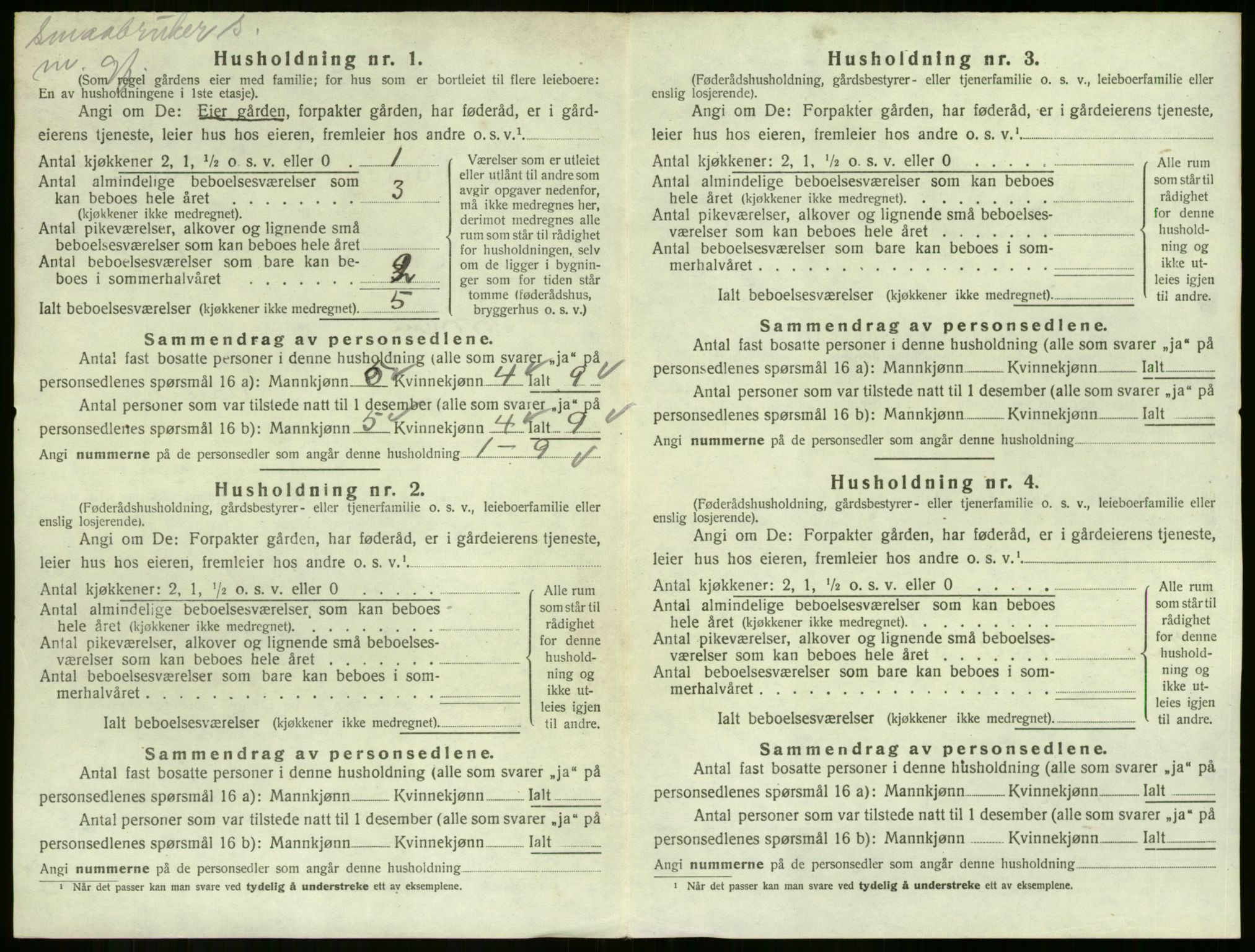 SAKO, 1920 census for Strømm, 1920, p. 432