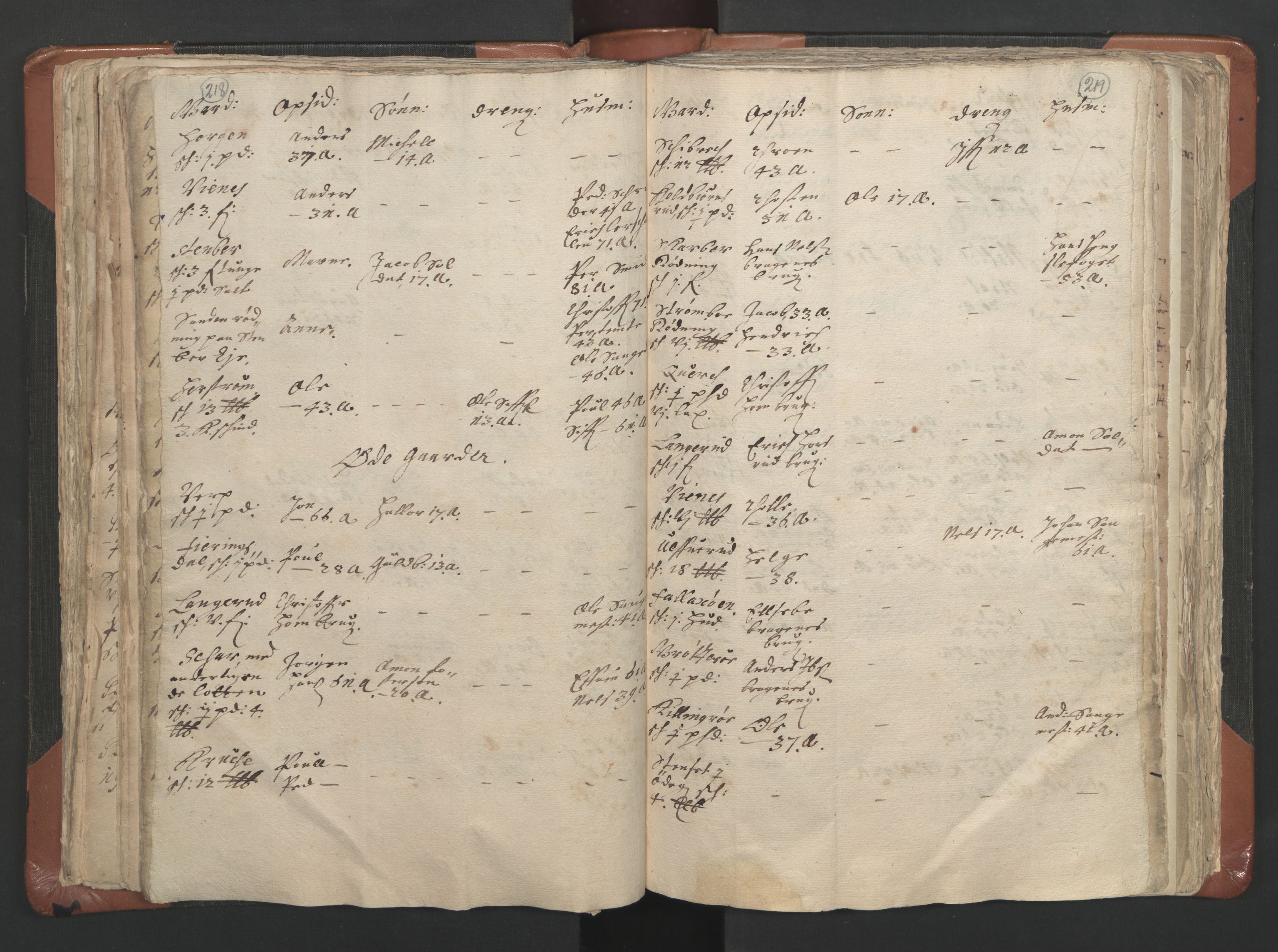 RA, Vicar's Census 1664-1666, no. 9: Bragernes deanery, 1664-1666, p. 218-219
