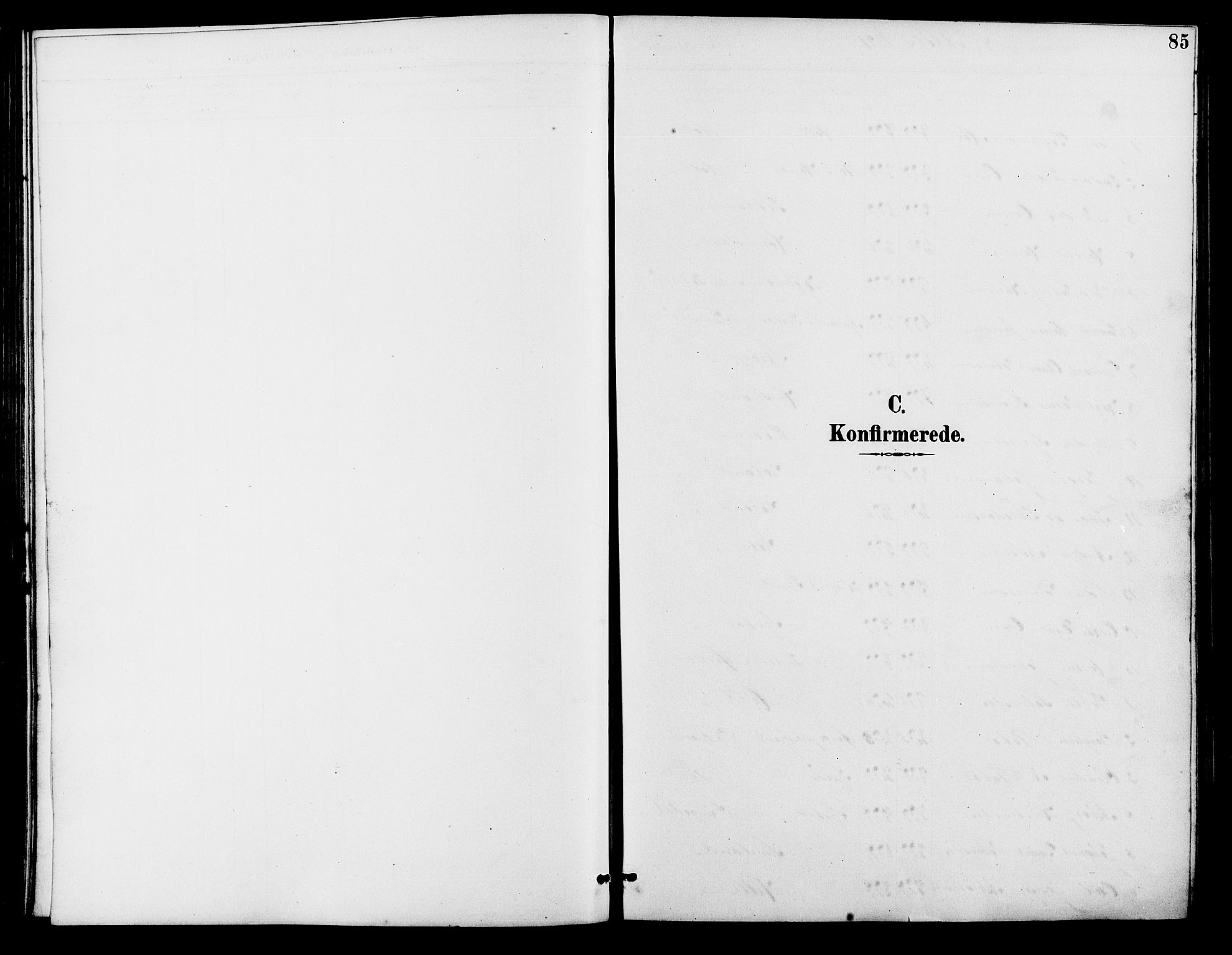 Holum sokneprestkontor, SAK/1111-0022/F/Fb/Fba/L0005: Parish register (copy) no. B 5, 1891-1909, p. 85