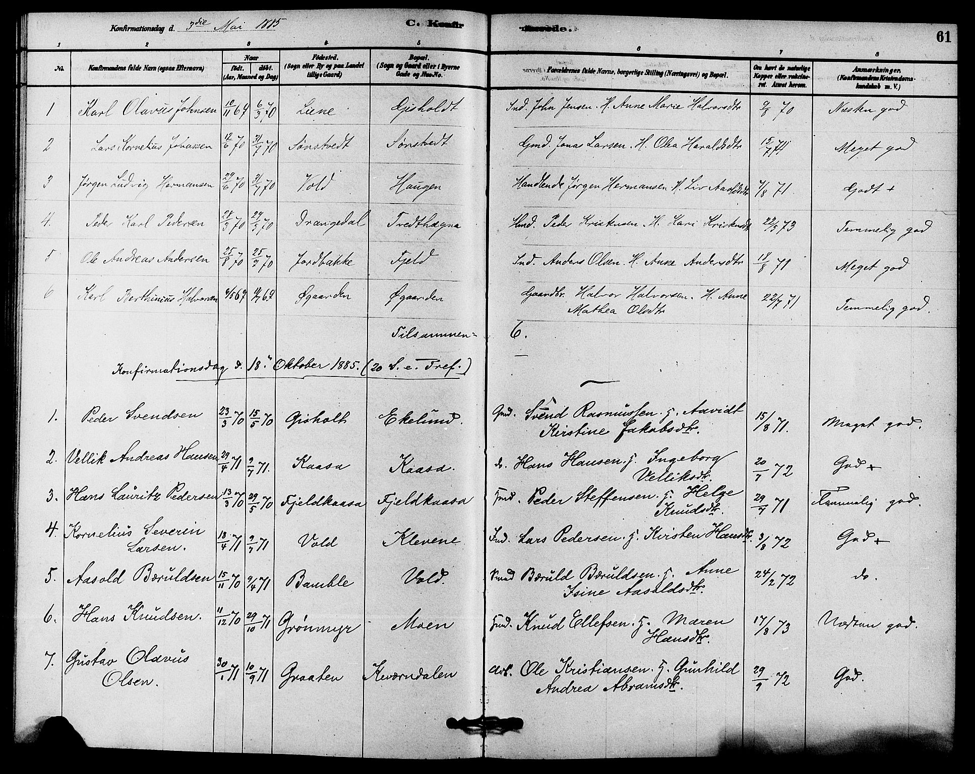Solum kirkebøker, SAKO/A-306/F/Fc/L0001: Parish register (official) no. III 1, 1877-1891, p. 61