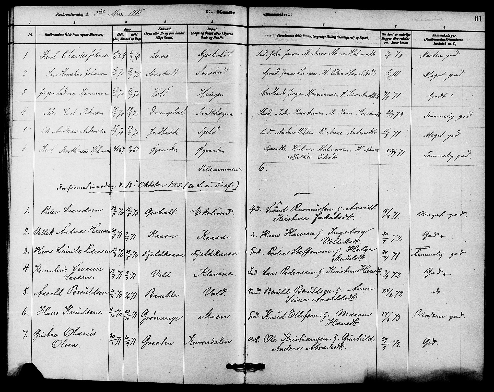 Solum kirkebøker, AV/SAKO-A-306/F/Fc/L0001: Parish register (official) no. III 1, 1877-1891, p. 61