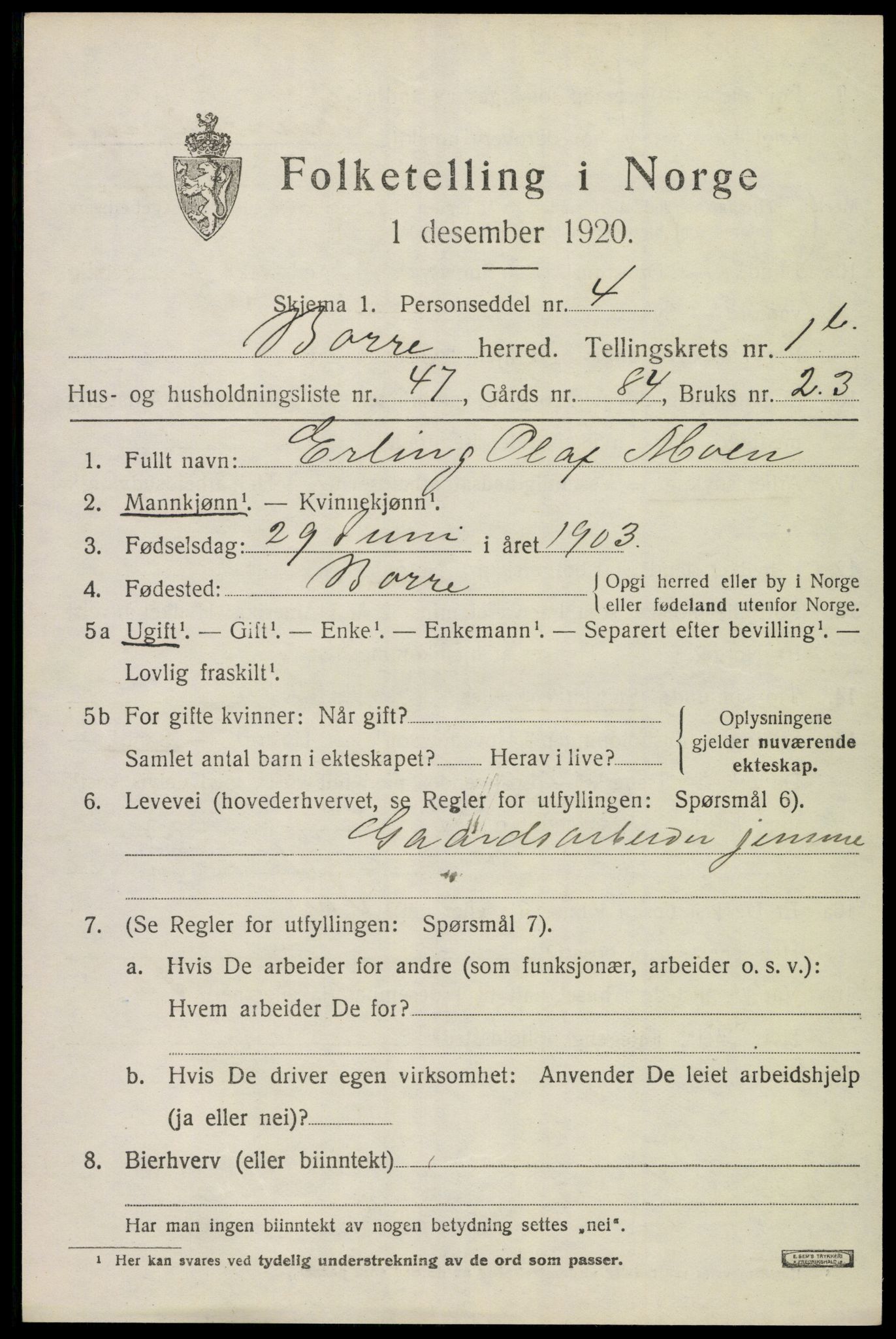 SAKO, 1920 census for Borre, 1920, p. 3054
