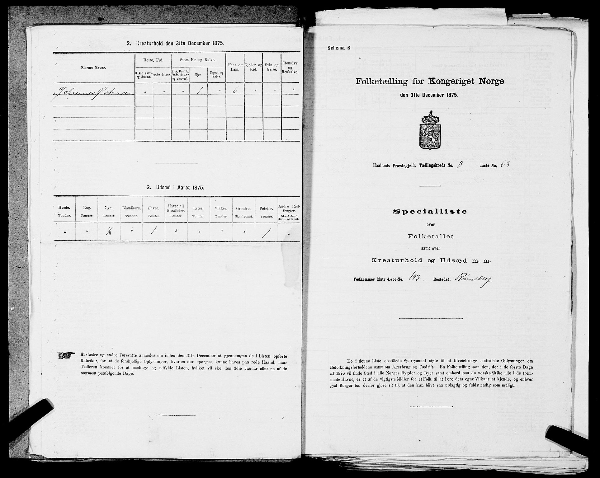 SAST, 1875 census for 1124P Håland, 1875, p. 523