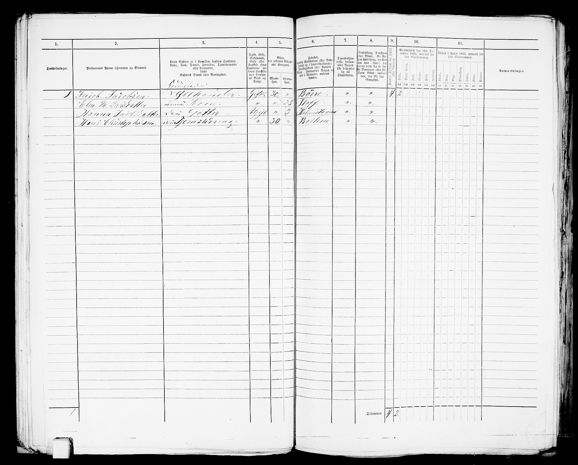 RA, 1865 census for Botne/Holmestrand, 1865, p. 43