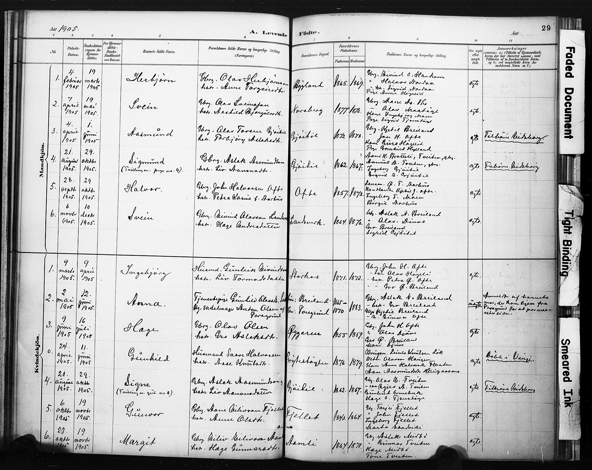 Lårdal kirkebøker, SAKO/A-284/F/Fc/L0002: Parish register (official) no. III 2, 1887-1906, p. 29