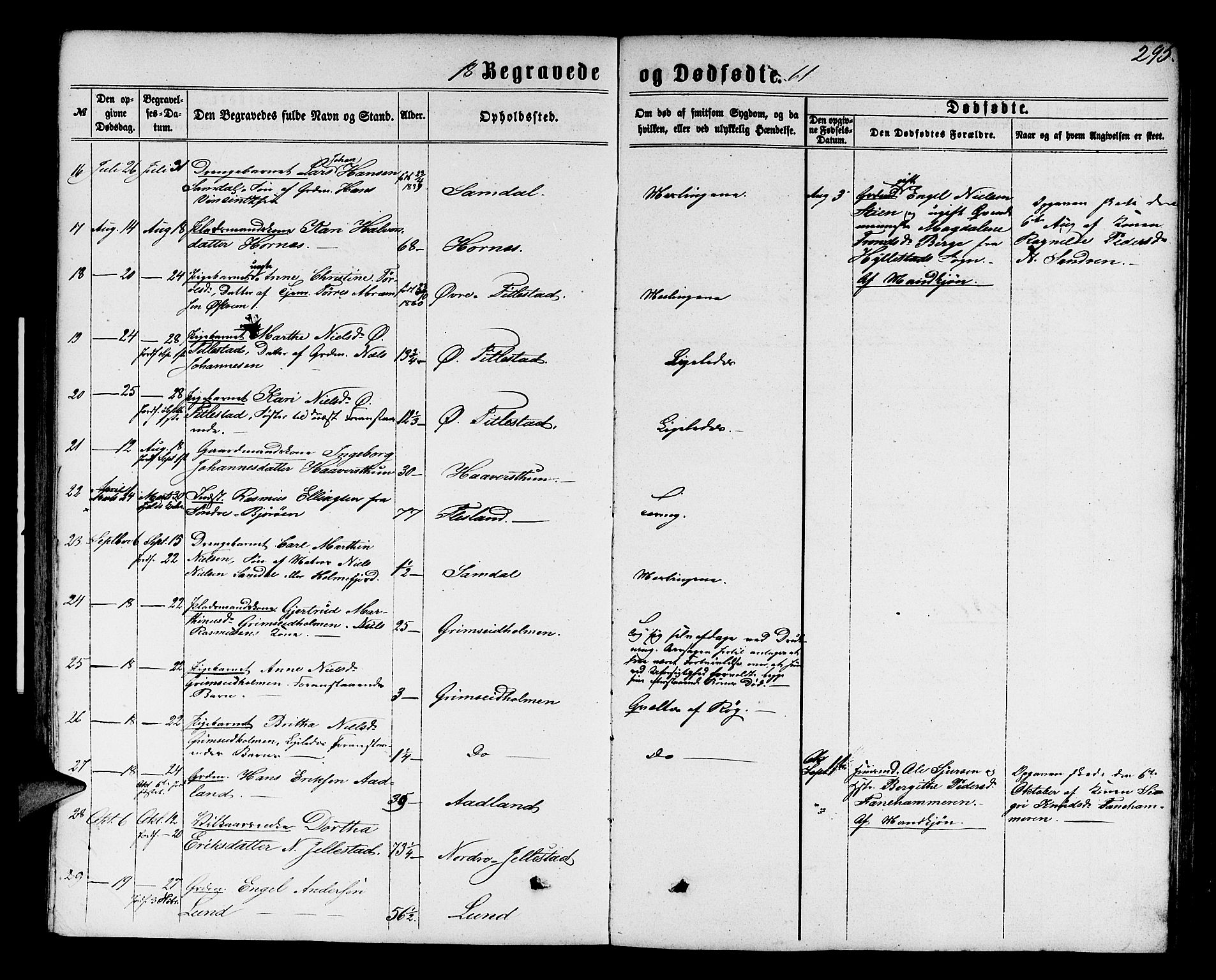 Fana Sokneprestembete, SAB/A-75101/H/Hab/Habb/L0003: Parish register (copy) no. B 3, 1861-1888, p. 295