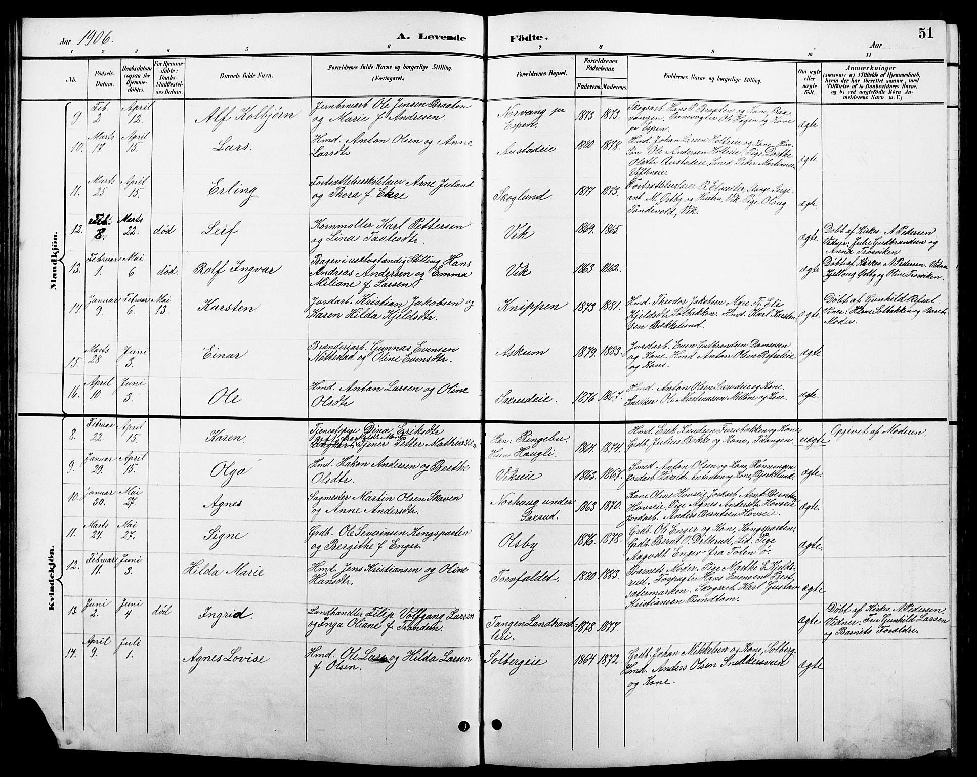 Stange prestekontor, AV/SAH-PREST-002/L/L0011: Parish register (copy) no. 11, 1895-1917, p. 51