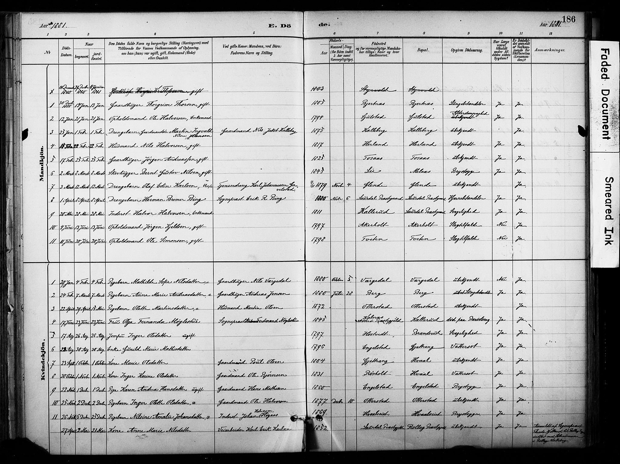 Lardal kirkebøker, AV/SAKO-A-350/F/Fb/L0001: Parish register (official) no. II 1, 1881-1911, p. 186