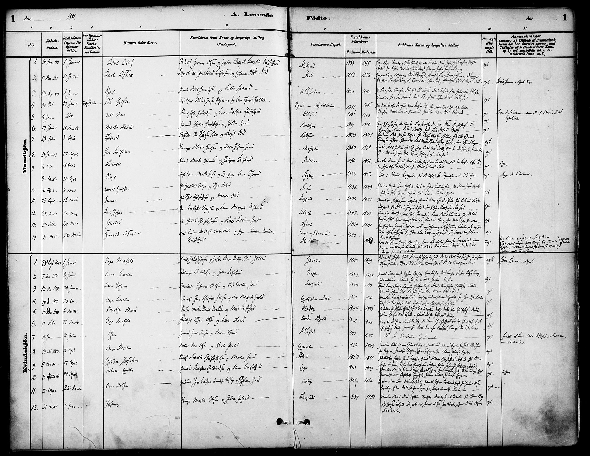 Nannestad prestekontor Kirkebøker, AV/SAO-A-10414a/F/Fa/L0014: Parish register (official) no. I 14, 1881-1890, p. 1