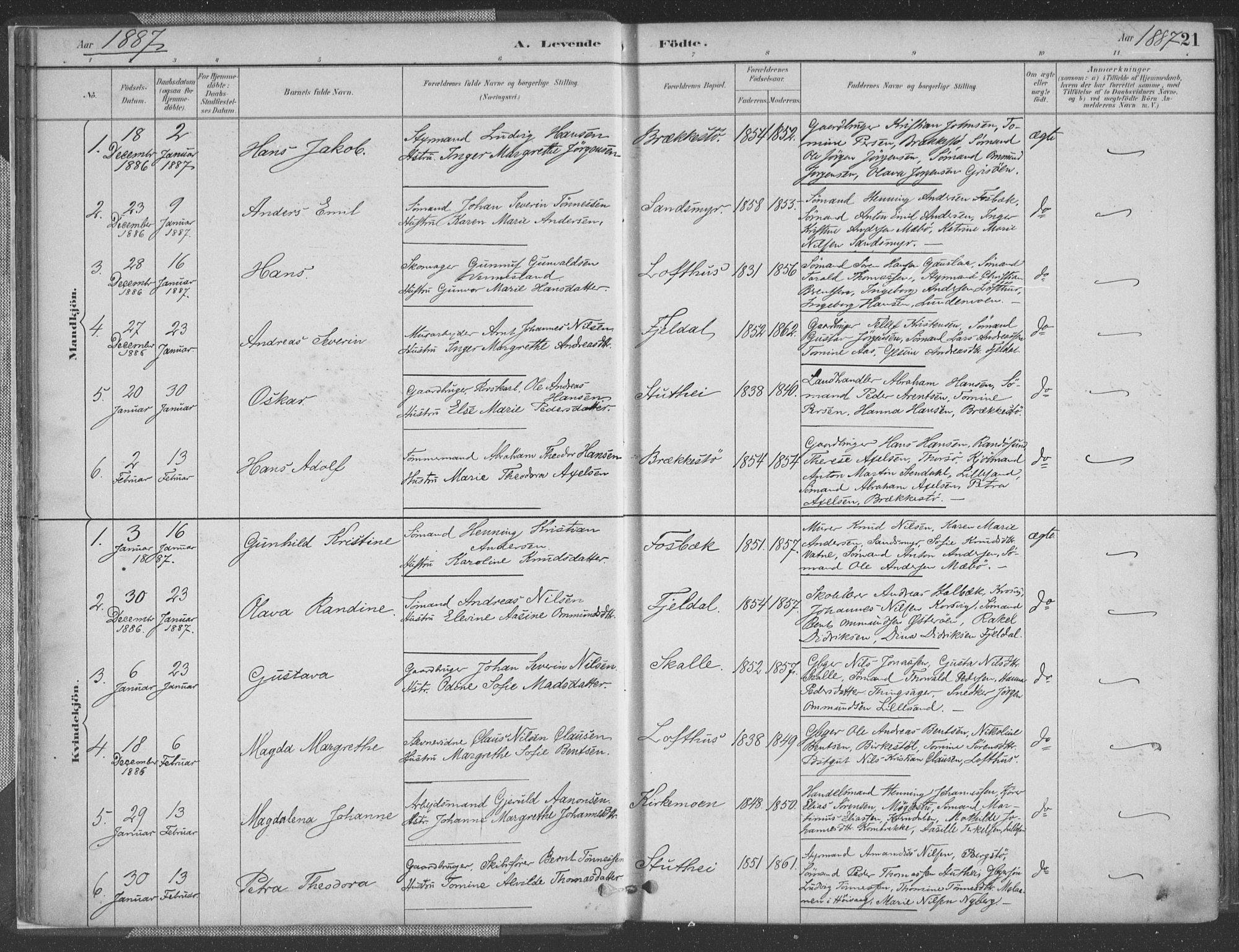 Vestre Moland sokneprestkontor, SAK/1111-0046/F/Fa/Fab/L0009: Parish register (official) no. A 9, 1884-1899, p. 21
