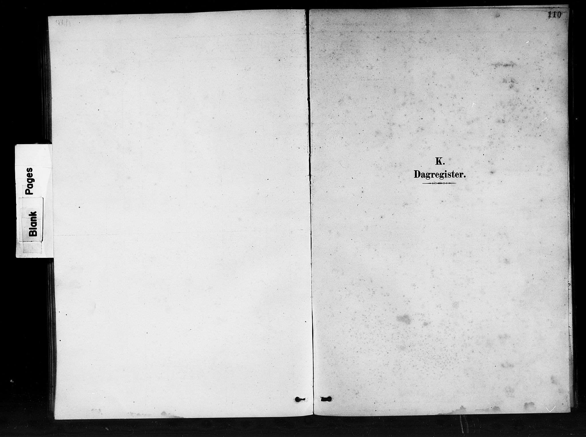 Den norske sjømannsmisjon i utlandet/Syd-Amerika (Buenos Aires m.fl.), SAB/SAB/PA-0118/H/Ha/L0001: Parish register (official) no. A 1, 1888-1898, p. 110