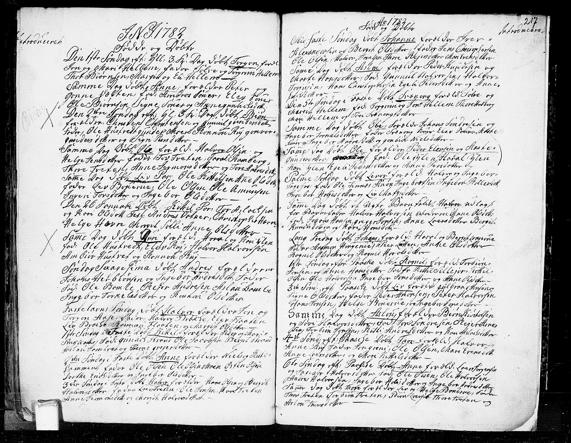 Heddal kirkebøker, SAKO/A-268/F/Fa/L0003: Parish register (official) no. I 3, 1723-1783, p. 217