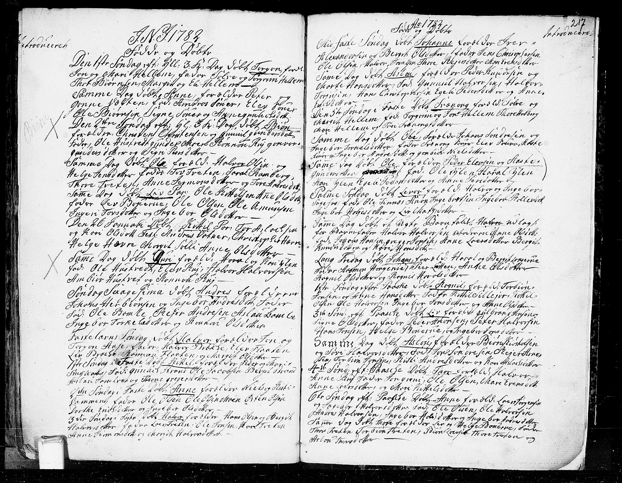 Heddal kirkebøker, AV/SAKO-A-268/F/Fa/L0003: Parish register (official) no. I 3, 1723-1783, p. 217