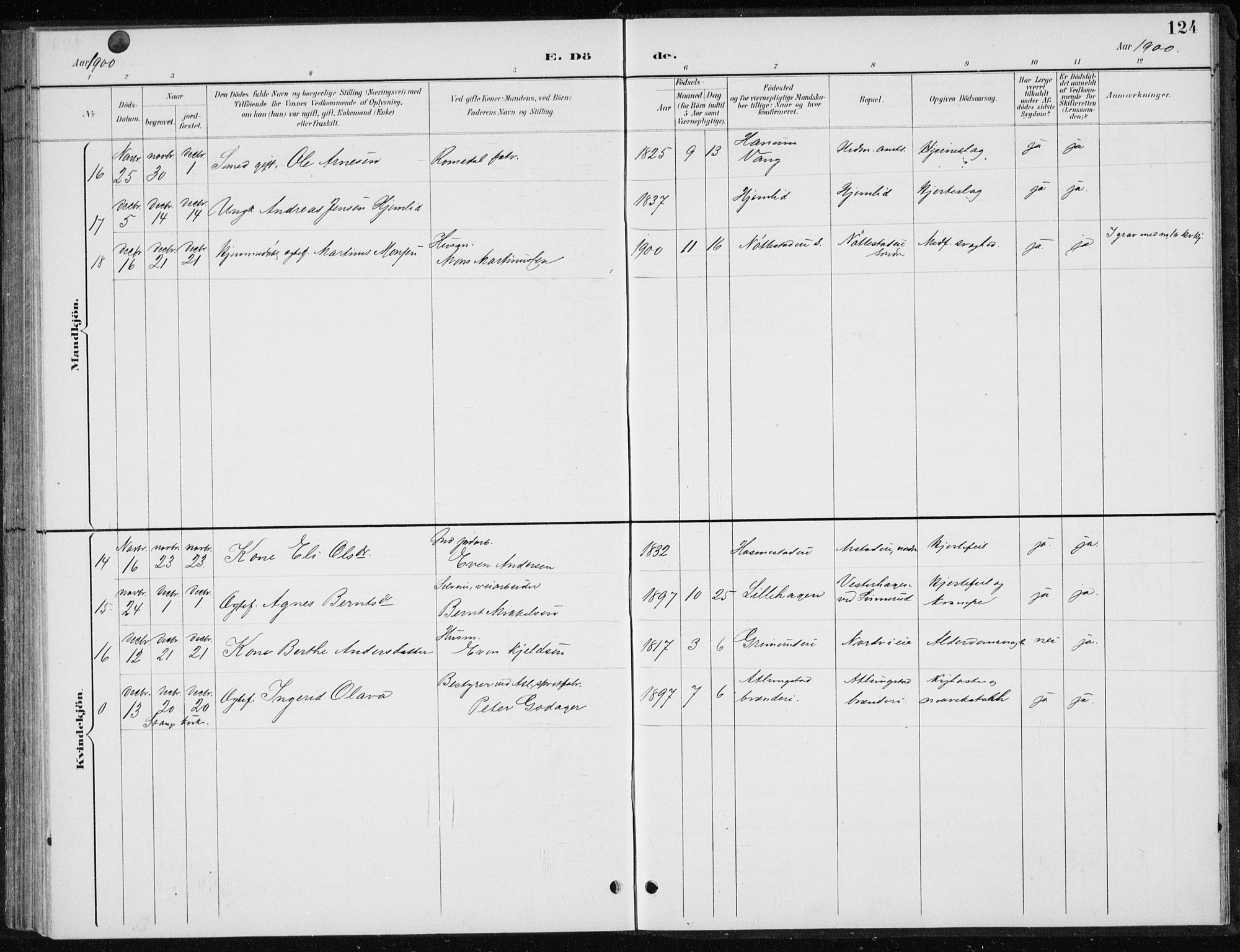 Stange prestekontor, SAH/PREST-002/L/L0010: Parish register (copy) no. 10, 1894-1905, p. 124