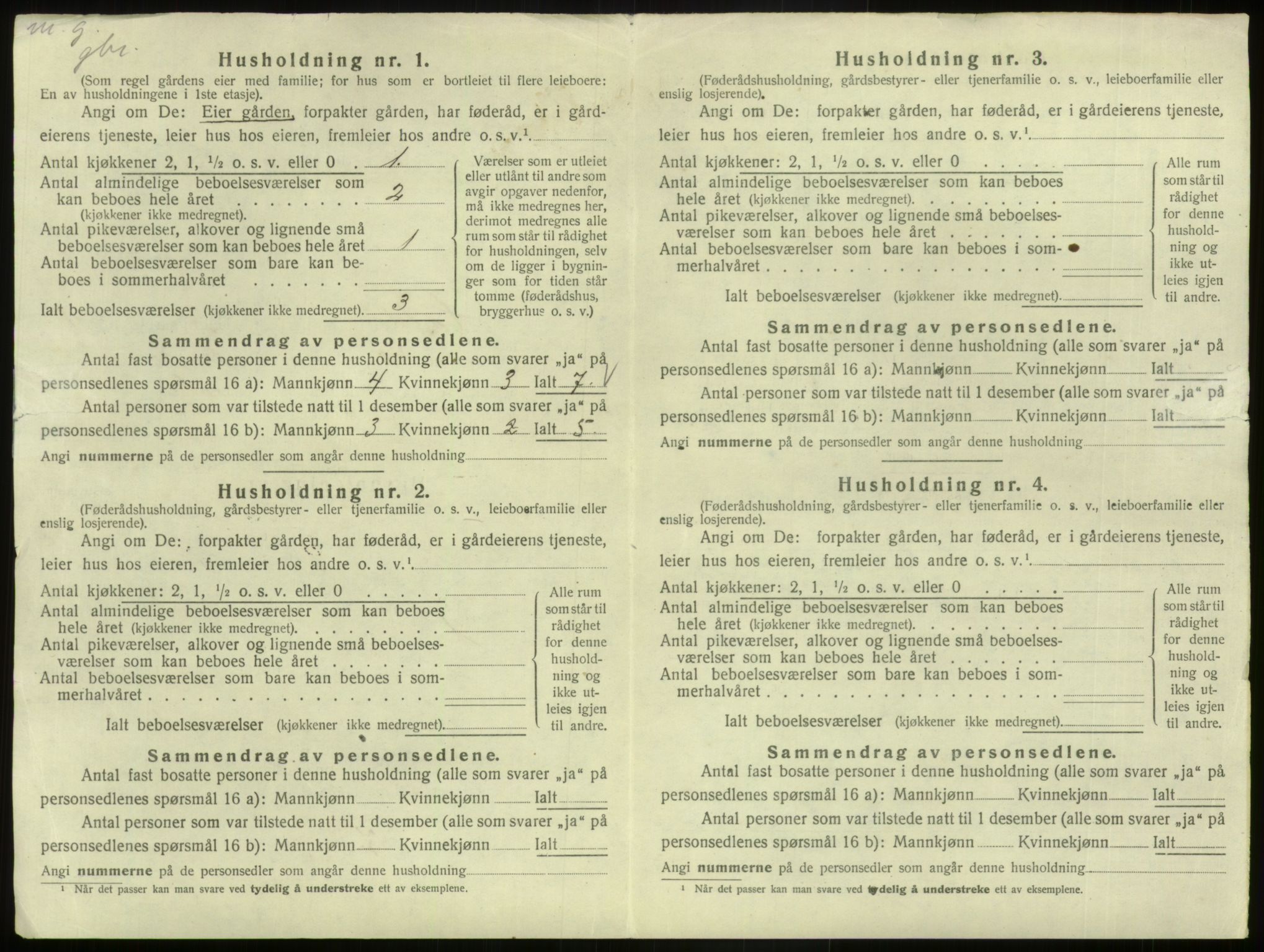 SAB, 1920 census for Hafslo, 1920, p. 37