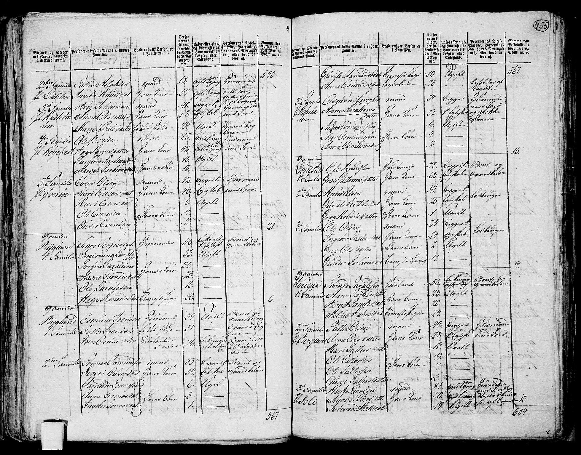 RA, 1801 census for 0829P Kviteseid, 1801, p. 454b-455a