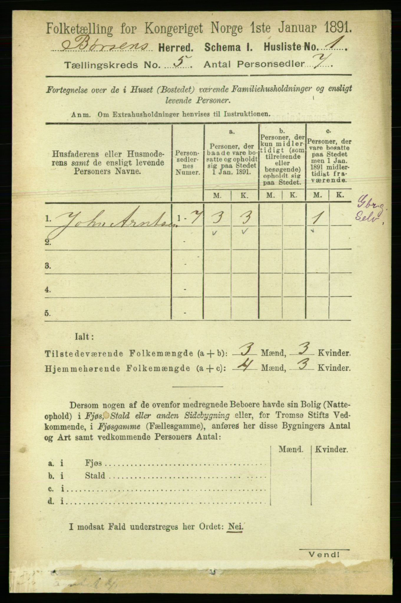RA, 1891 census for 1658 Børsa, 1891, p. 1916
