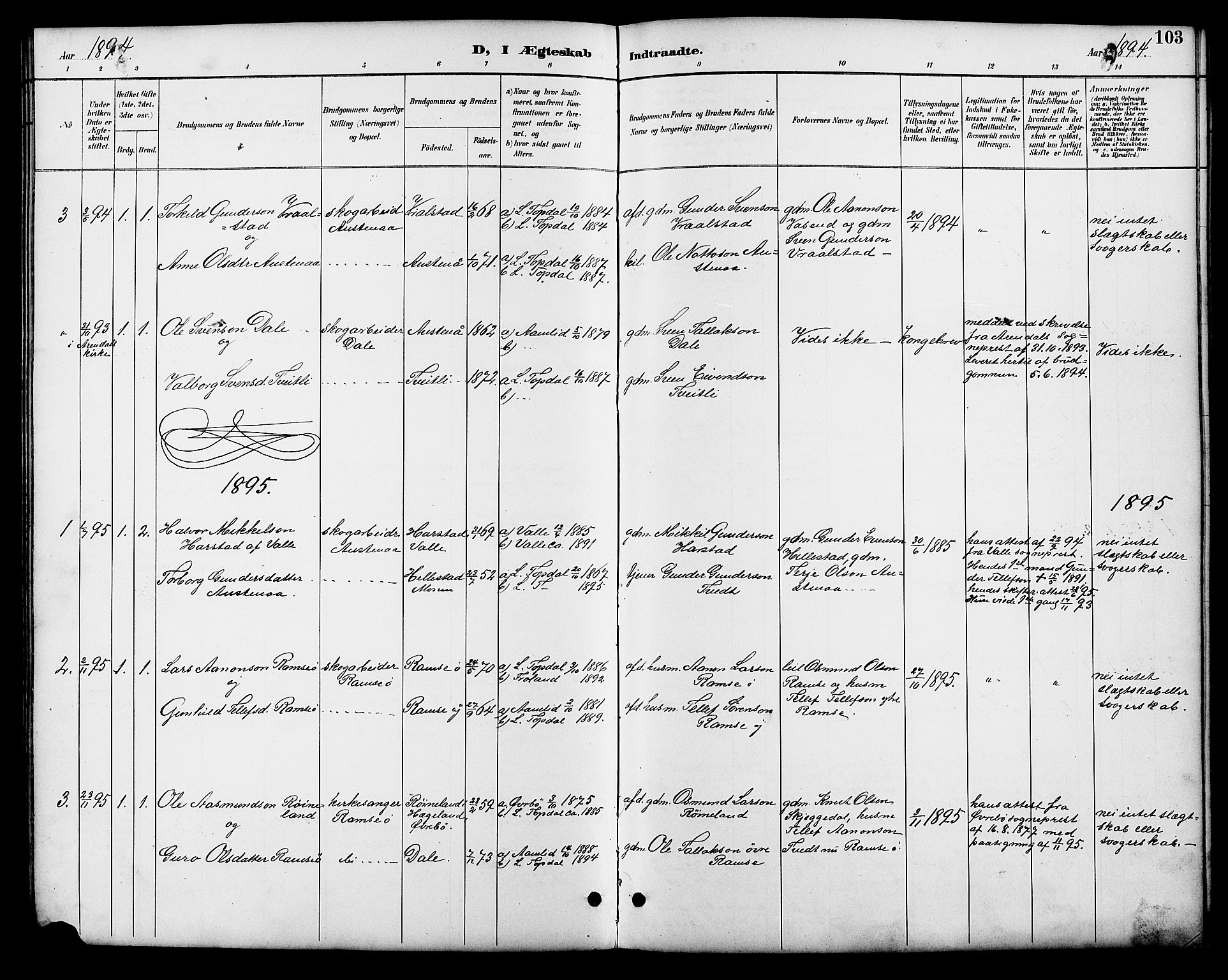 Åmli sokneprestkontor, AV/SAK-1111-0050/F/Fb/Fbb/L0002: Parish register (copy) no. B 2, 1890-1905, p. 103