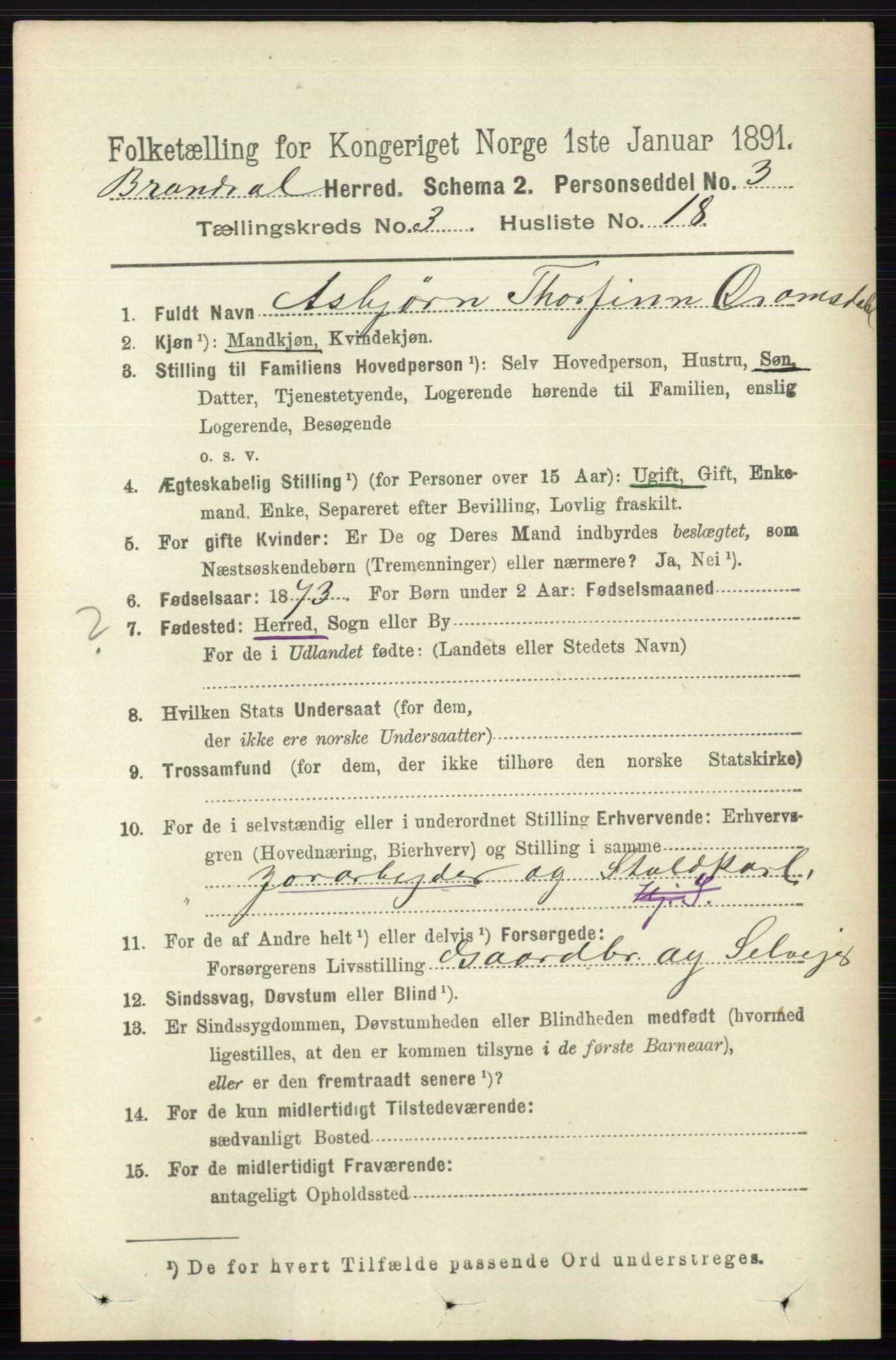 RA, 1891 census for 0422 Brandval, 1891, p. 1344