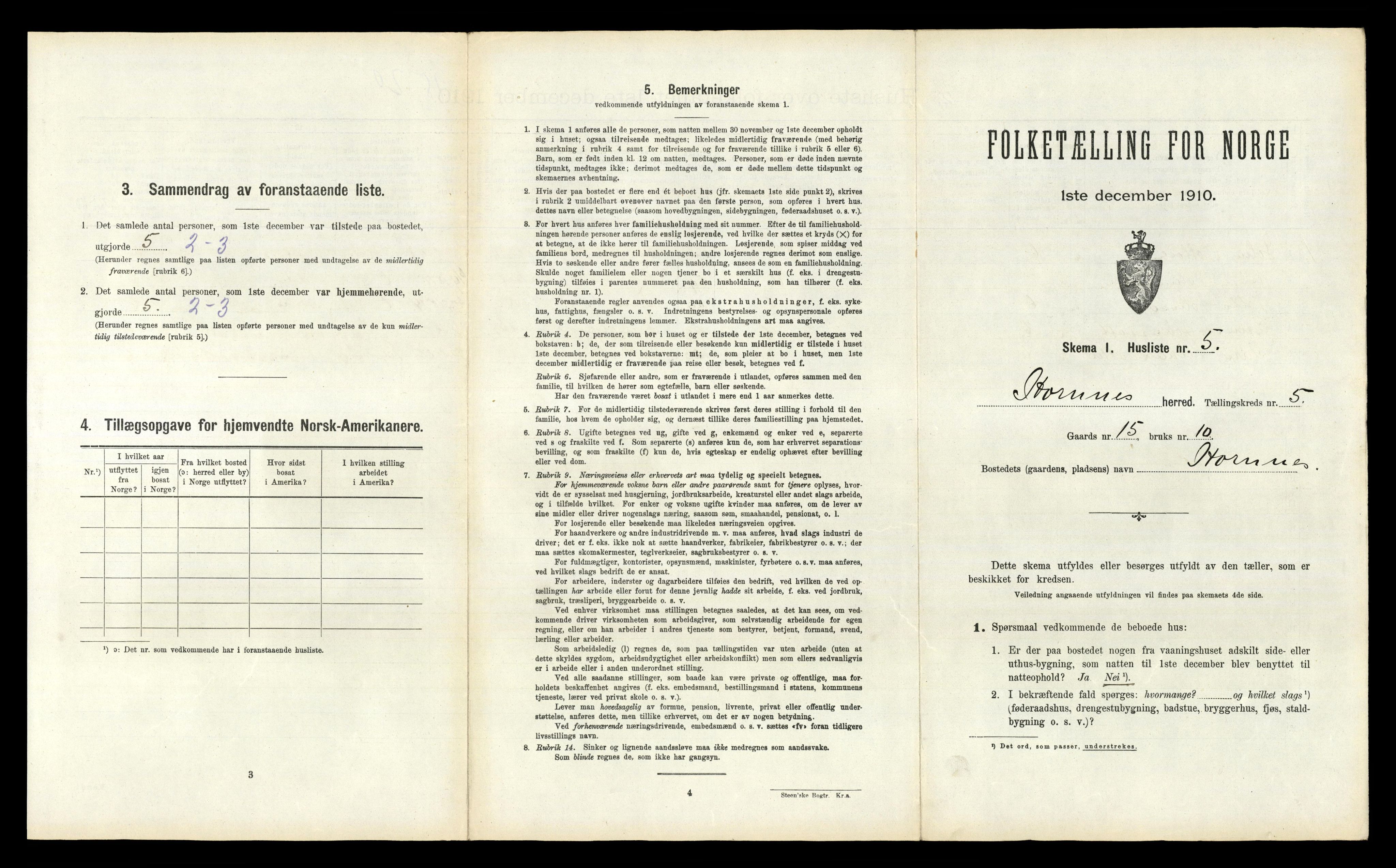 RA, 1910 census for Hornnes, 1910, p. 262