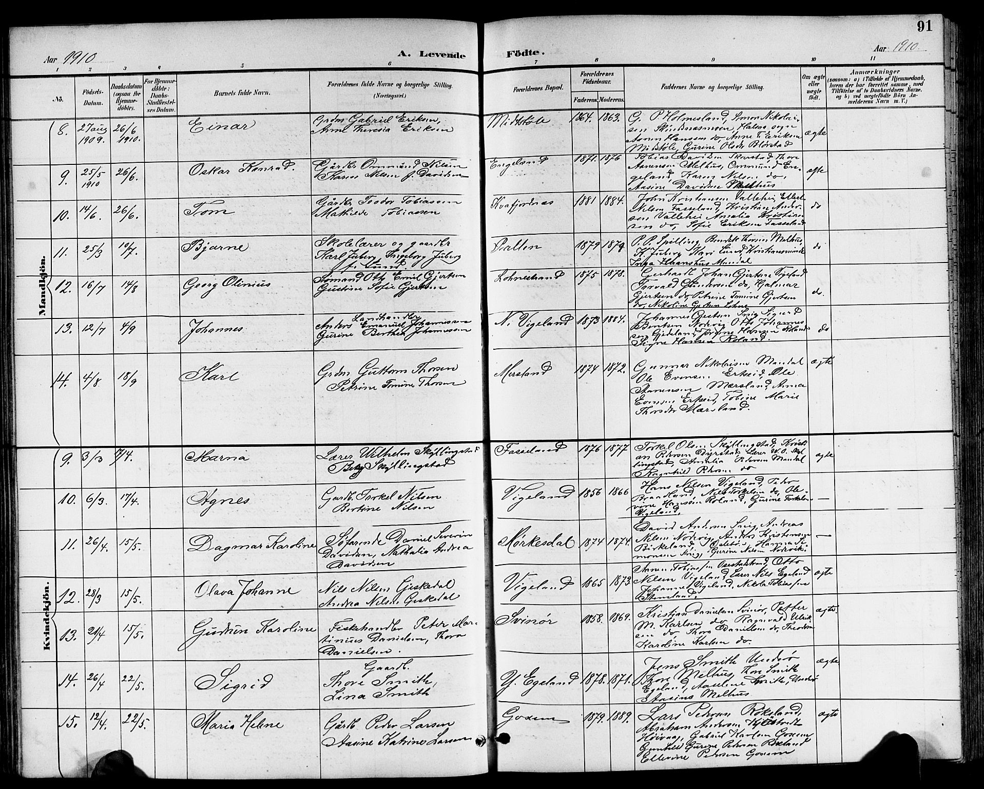 Sør-Audnedal sokneprestkontor, AV/SAK-1111-0039/F/Fb/Fbb/L0006: Parish register (copy) no. B 6, 1893-1915, p. 91