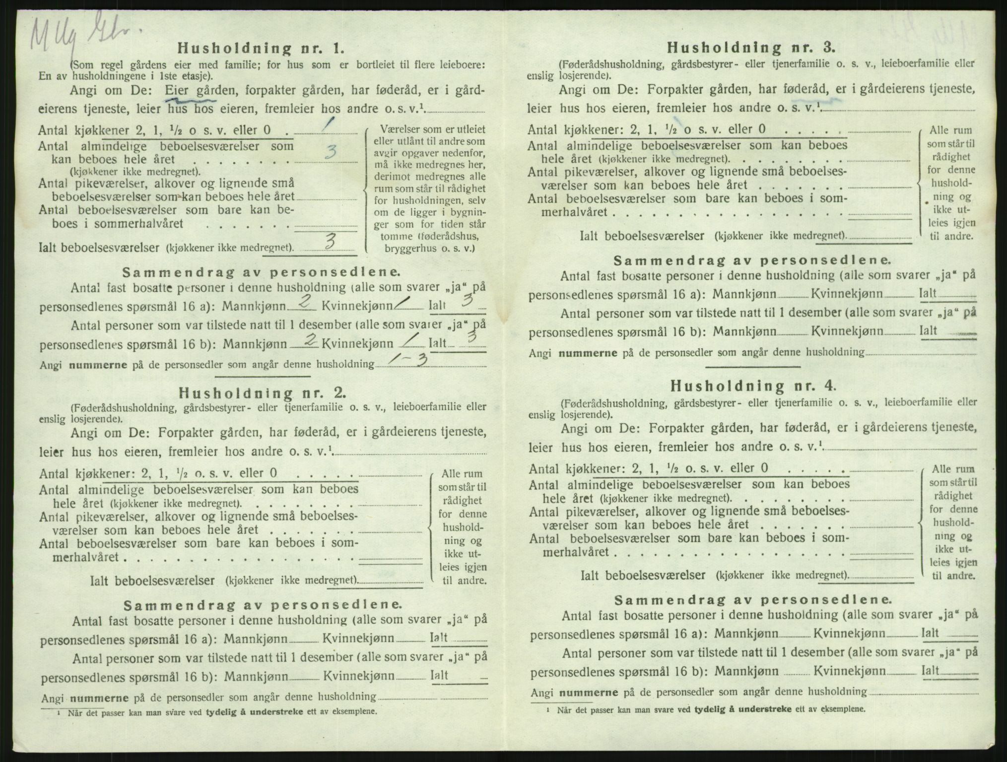 SAKO, 1920 census for Brunlanes, 1920, p. 1202