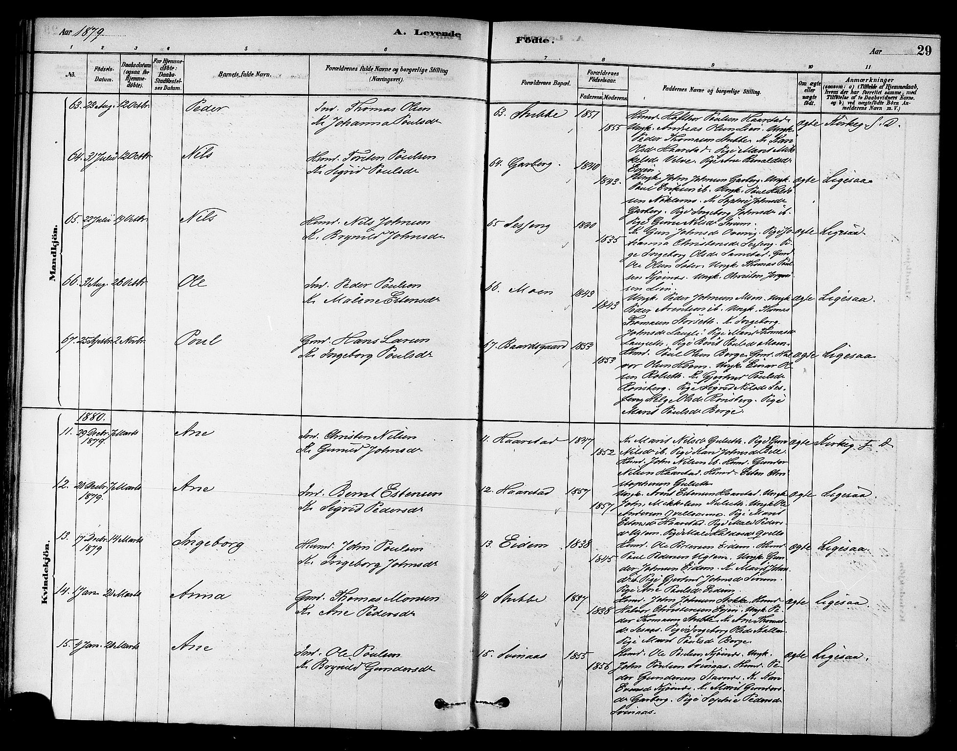 Ministerialprotokoller, klokkerbøker og fødselsregistre - Sør-Trøndelag, SAT/A-1456/695/L1148: Parish register (official) no. 695A08, 1878-1891, p. 29