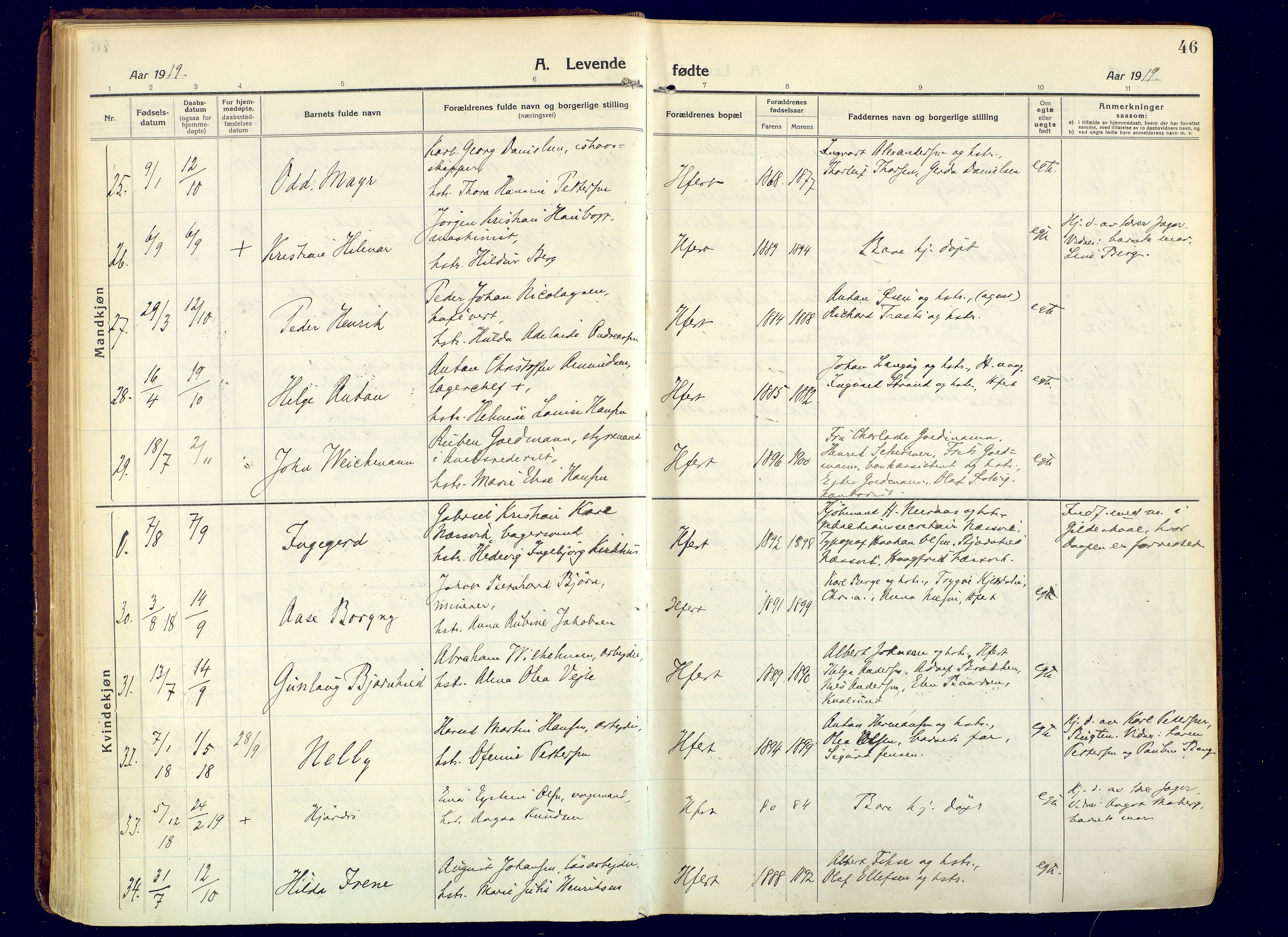 Hammerfest sokneprestkontor, AV/SATØ-S-1347/H/Ha/L0015.kirke: Parish register (official) no. 15, 1916-1923, p. 46