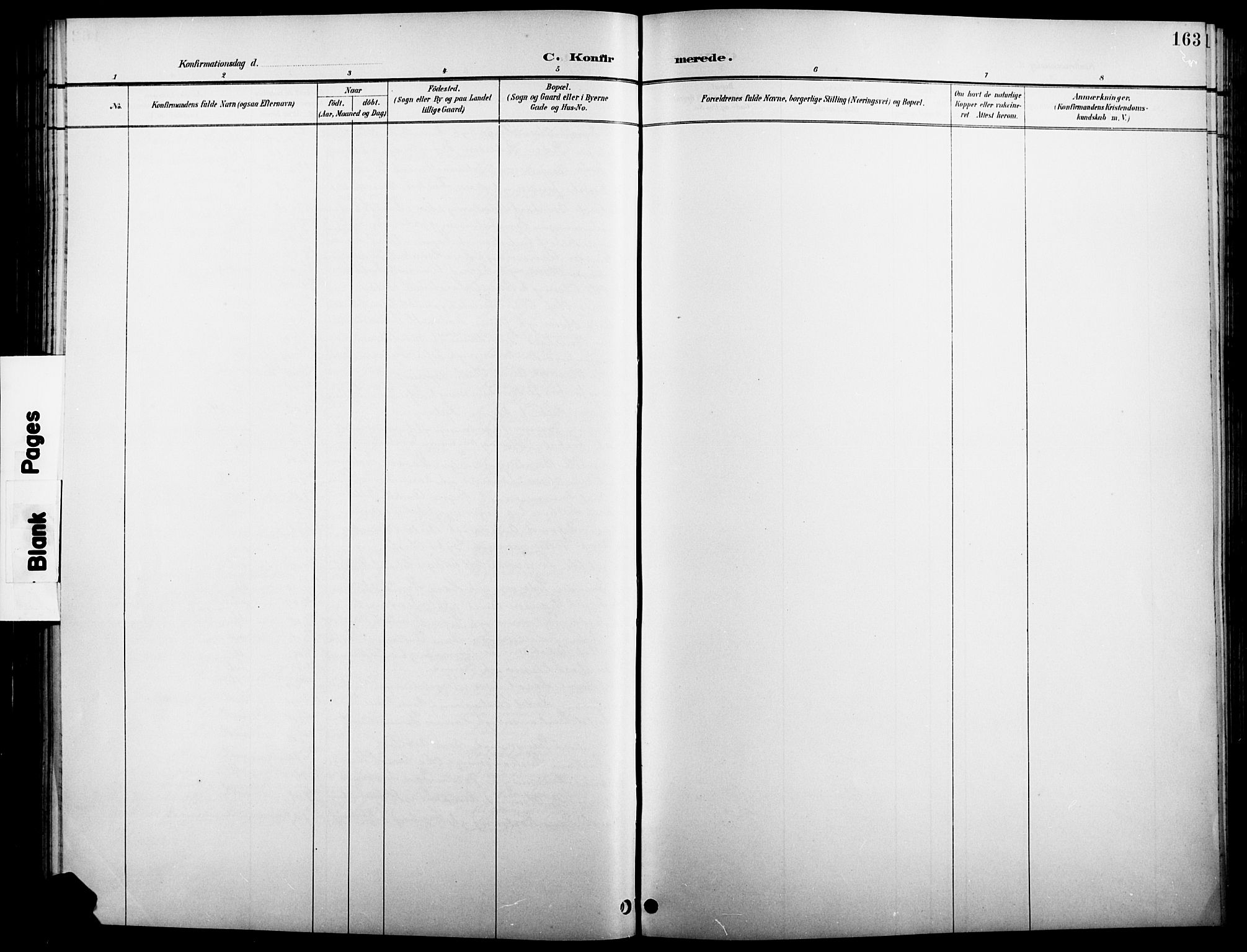 Åsnes prestekontor, AV/SAH-PREST-042/H/Ha/Hab/L0005: Parish register (copy) no. 5, 1895-1920, p. 163