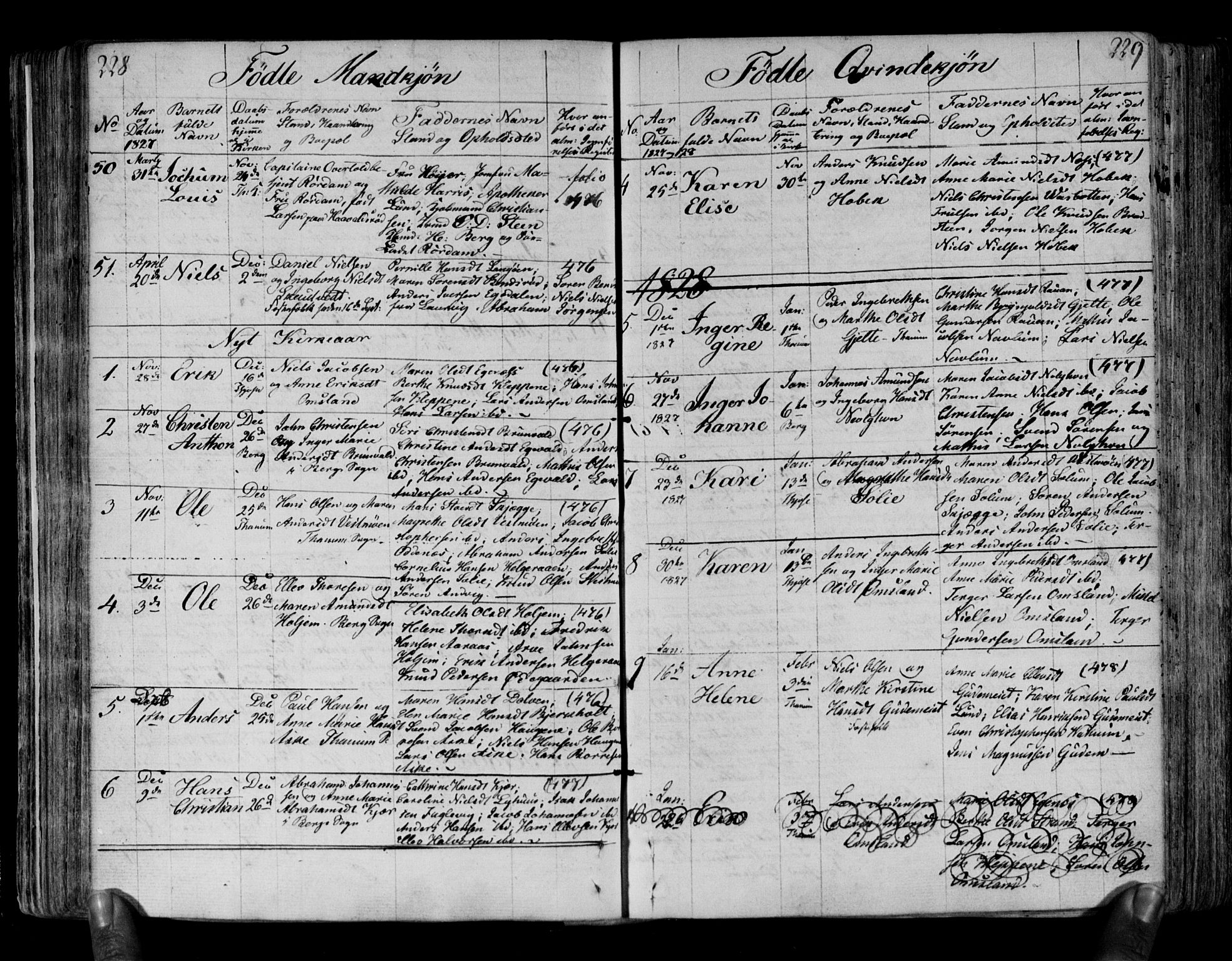 Brunlanes kirkebøker, AV/SAKO-A-342/F/Fa/L0002: Parish register (official) no. I 2, 1802-1834, p. 228-229