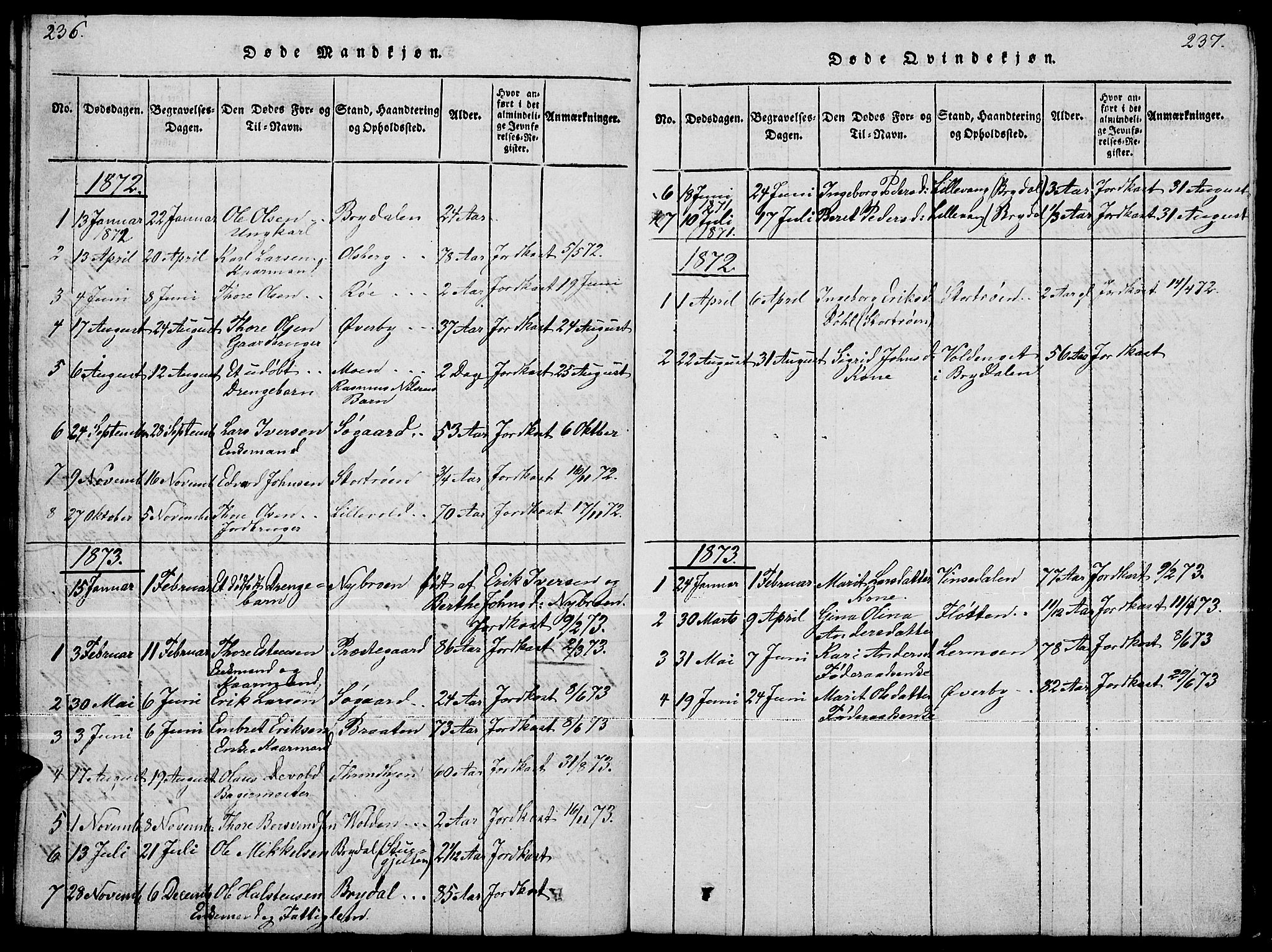 Tynset prestekontor, SAH/PREST-058/H/Ha/Hab/L0004: Parish register (copy) no. 4, 1814-1879, p. 236-237