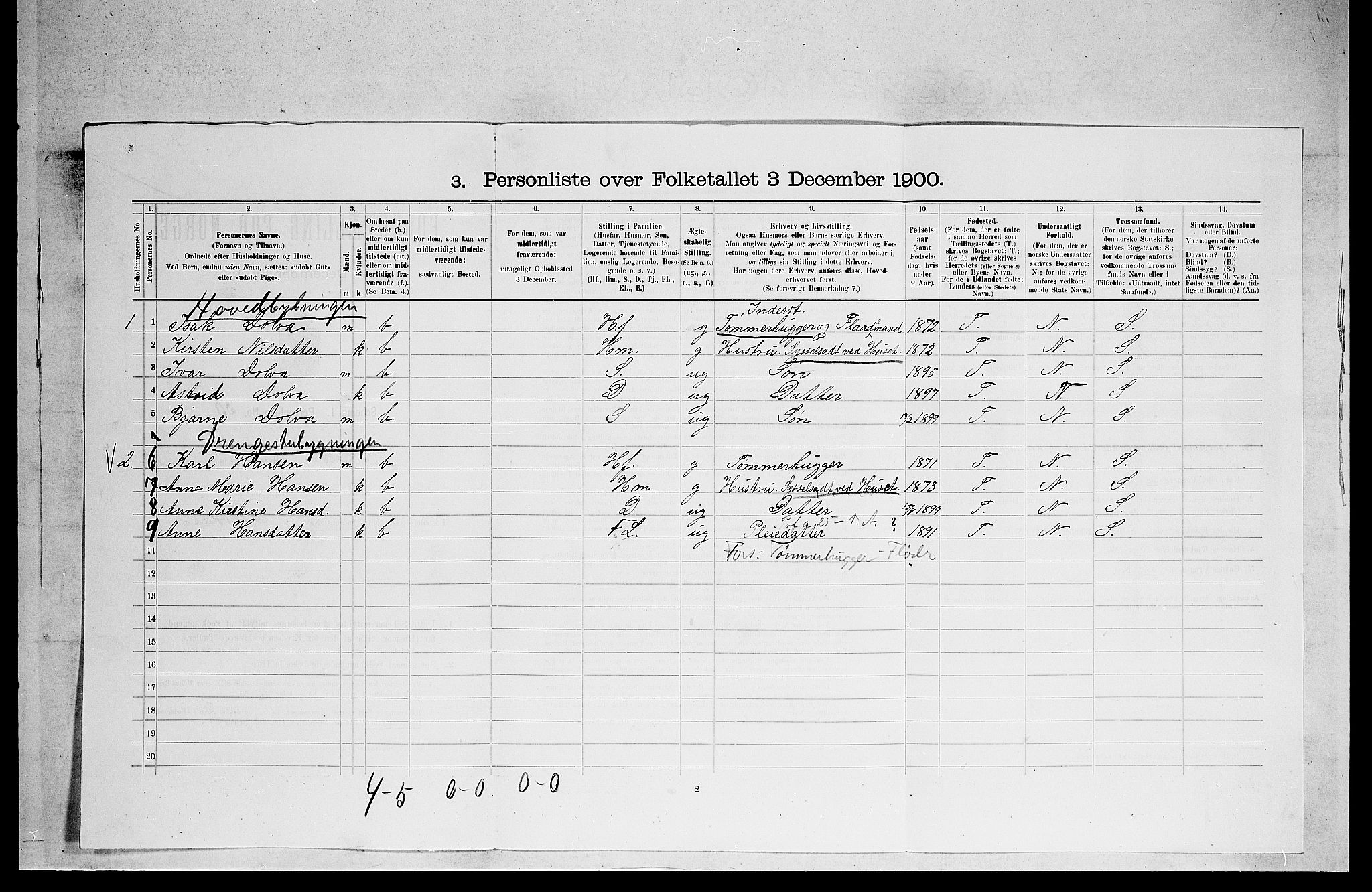 SAKO, 1900 census for Solum, 1900, p. 2093