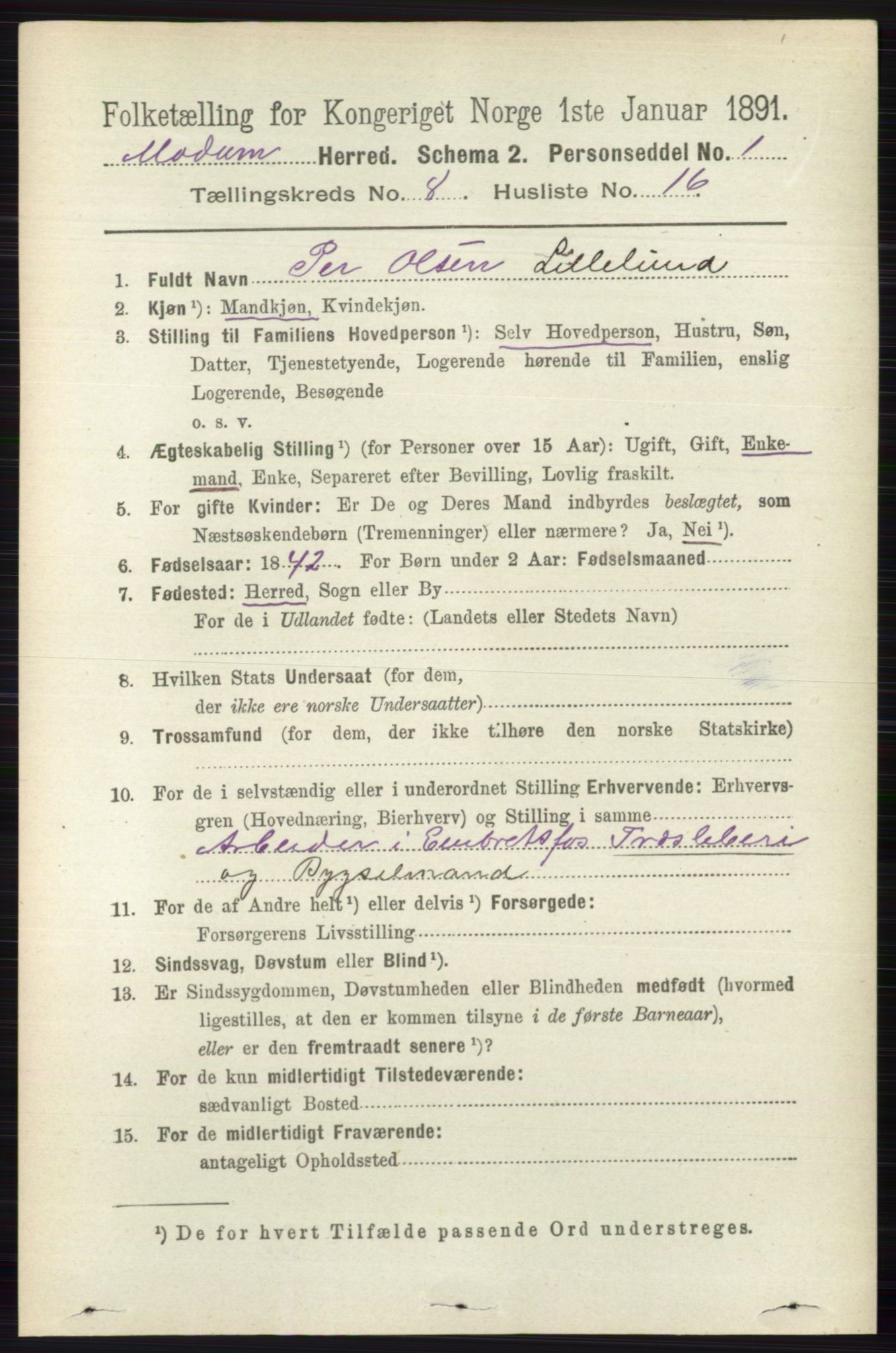 RA, 1891 census for 0623 Modum, 1891, p. 2960