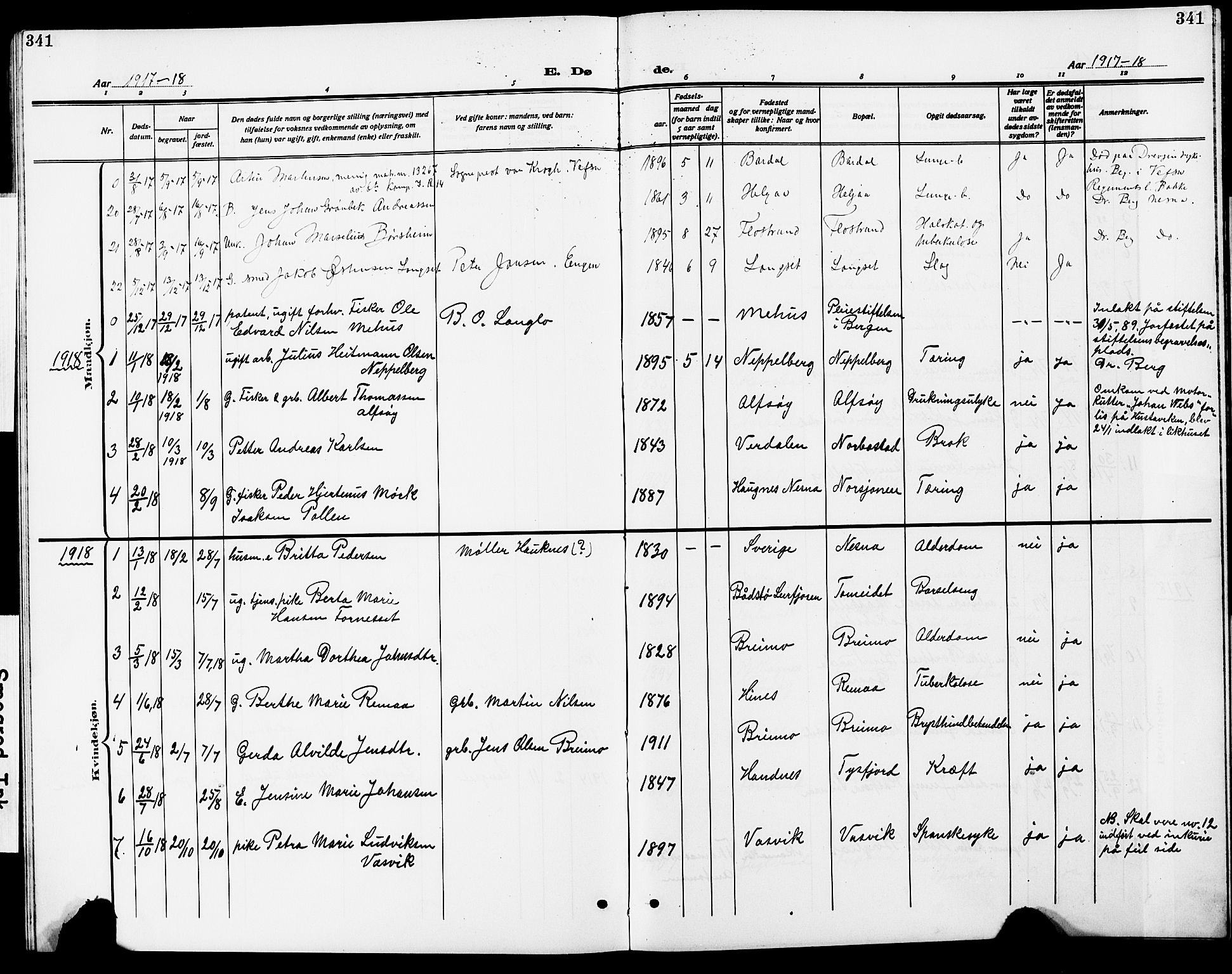 Ministerialprotokoller, klokkerbøker og fødselsregistre - Nordland, AV/SAT-A-1459/838/L0560: Parish register (copy) no. 838C07, 1910-1928, p. 341