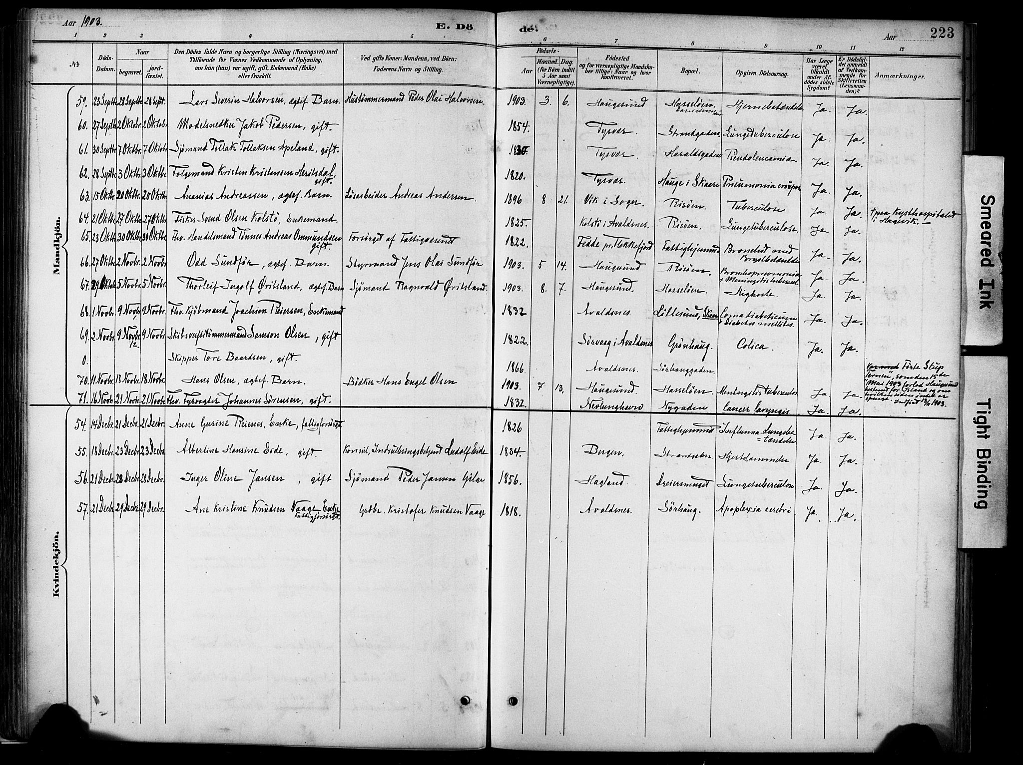 Haugesund sokneprestkontor, AV/SAST-A -101863/H/Ha/Haa/L0005: Parish register (official) no. A 5, 1891-1903, p. 223