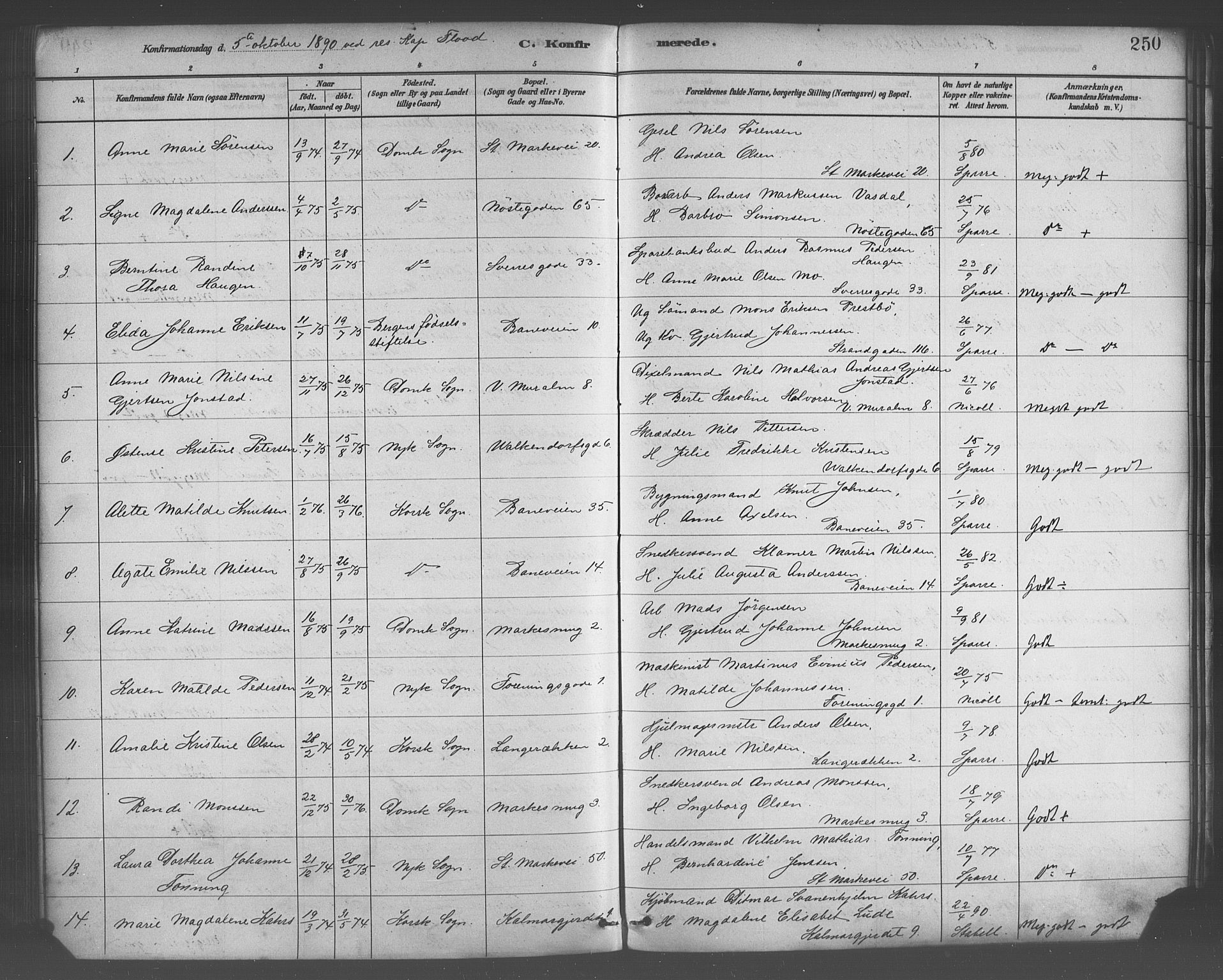 Domkirken sokneprestembete, SAB/A-74801/H/Haa/L0030: Parish register (official) no. C 5, 1880-1898, p. 250