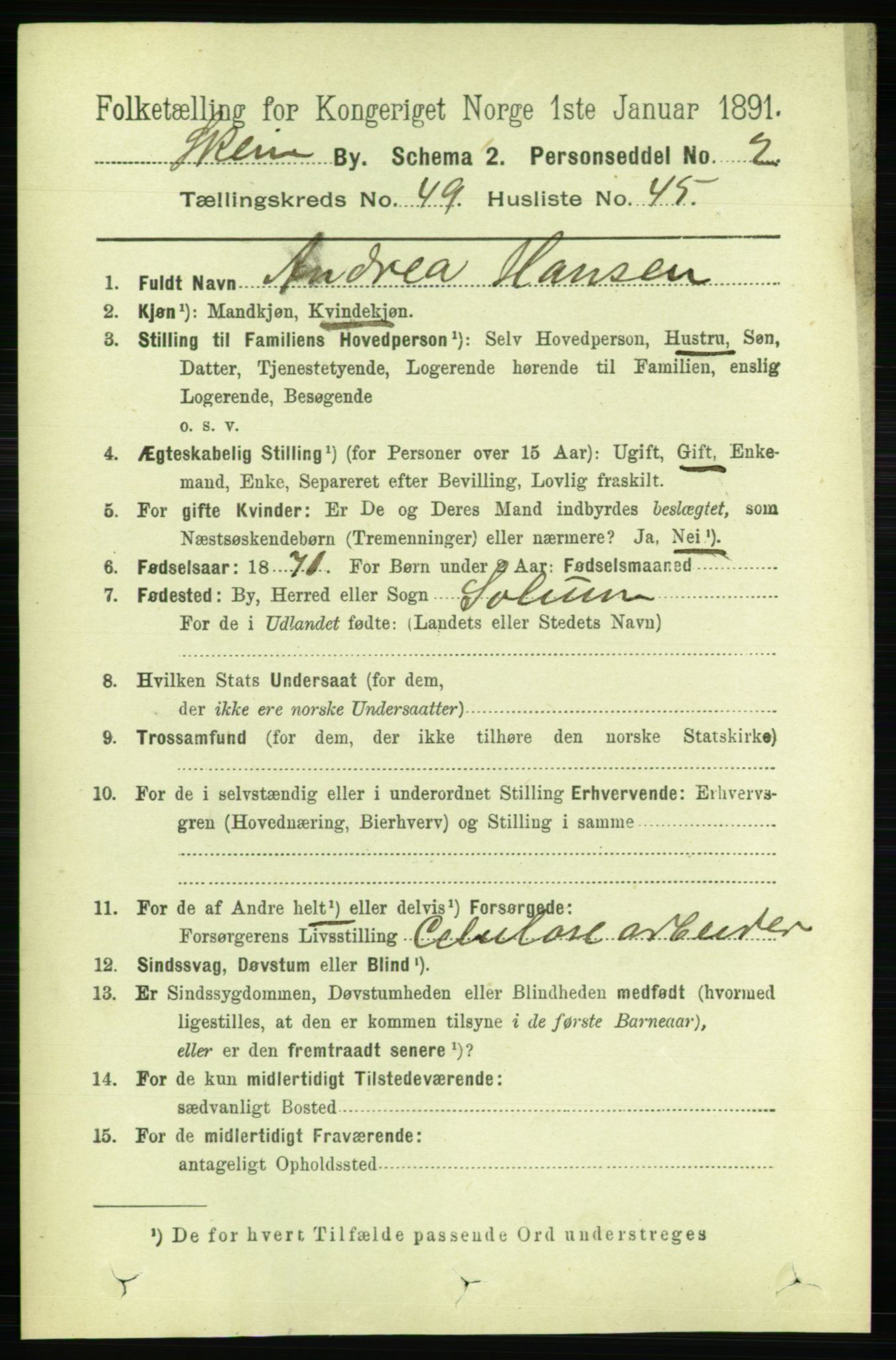 RA, 1891 census for 0806 Skien, 1891, p. 10719