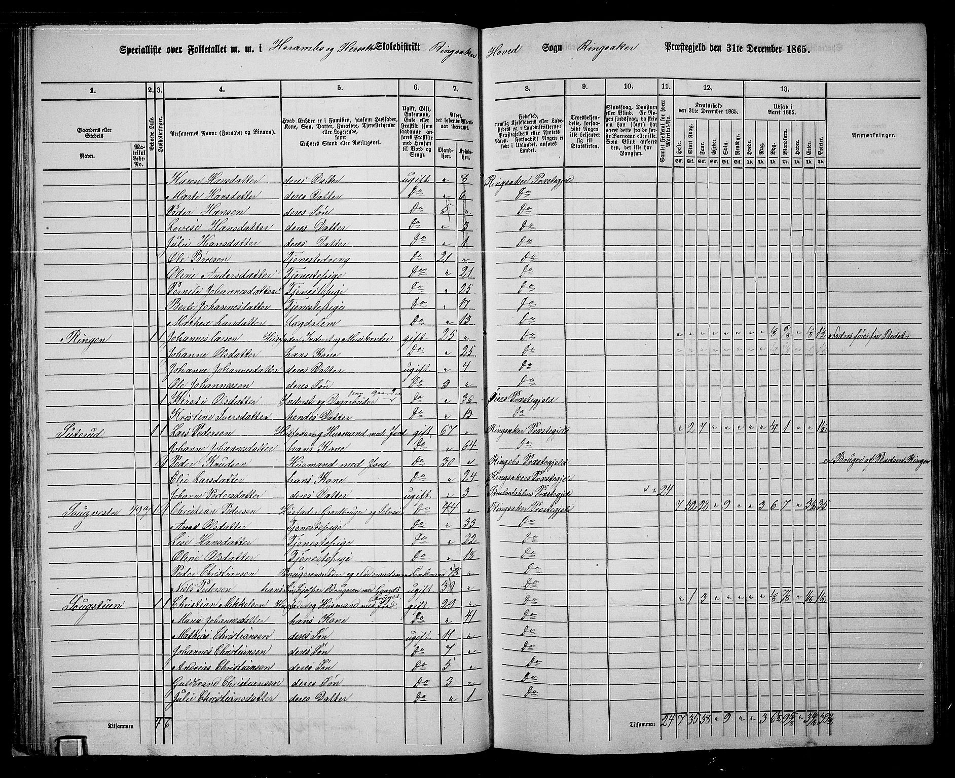 RA, 1865 census for Ringsaker, 1865, p. 70