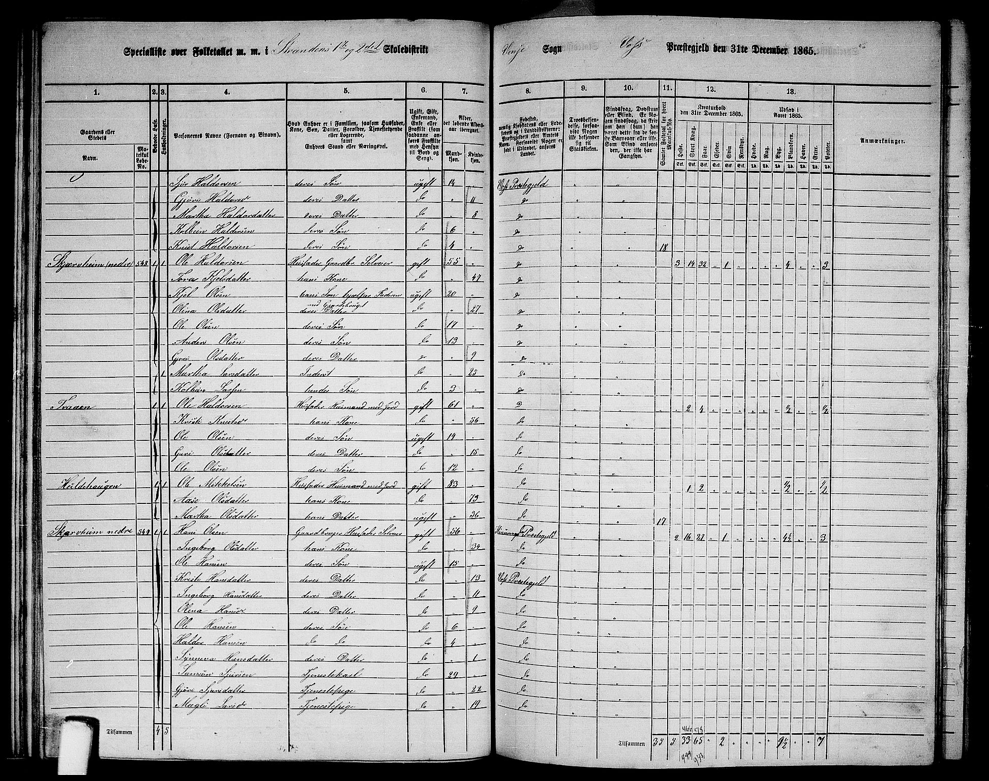 RA, 1865 census for Voss, 1865, p. 299