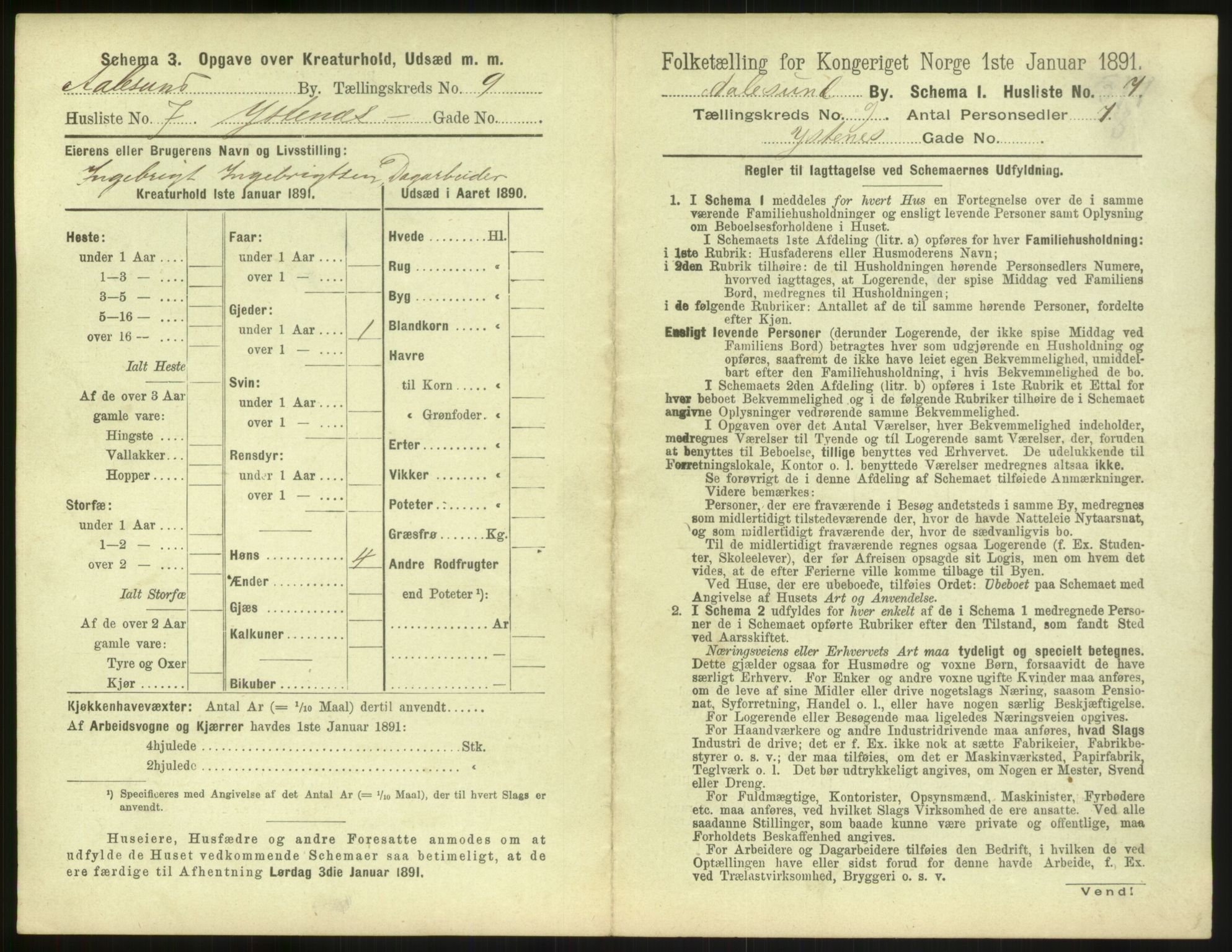 RA, 1891 census for 1501 Ålesund, 1891, p. 702